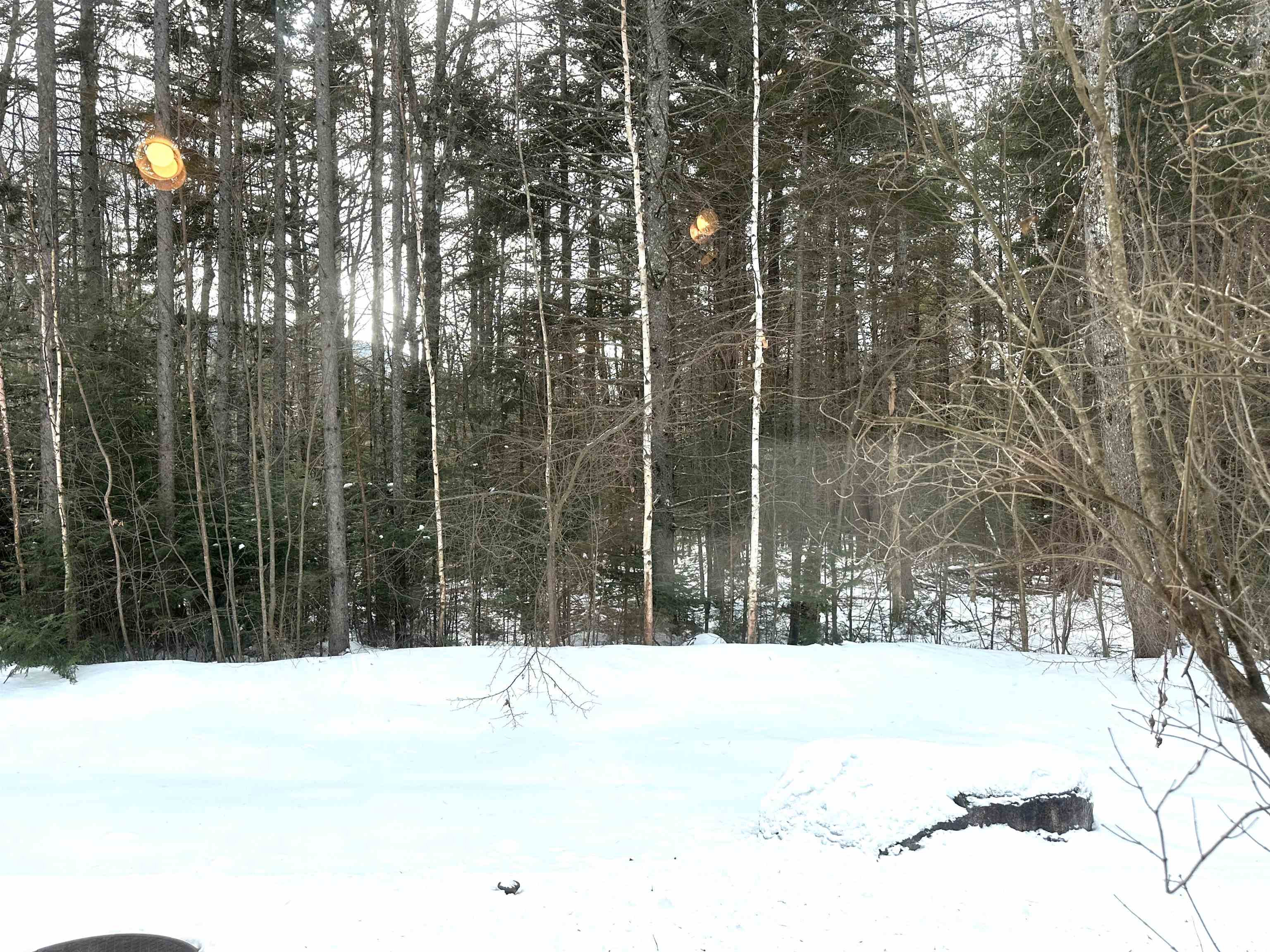 36 Forest Knoll Way, Waterville Valley, NH 03215