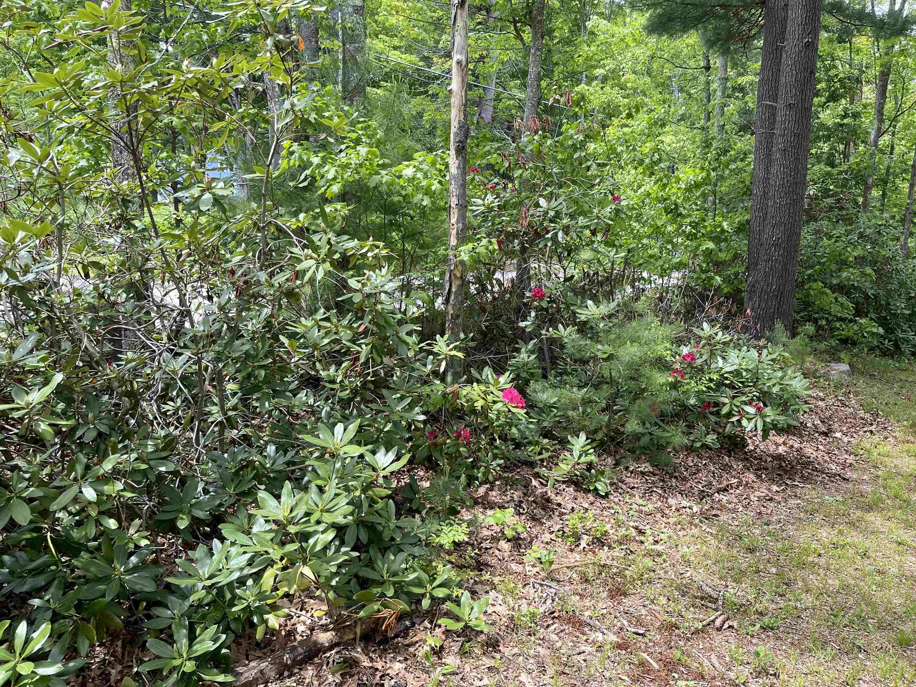 209 Mallego Rd, Barrington, NH 03825