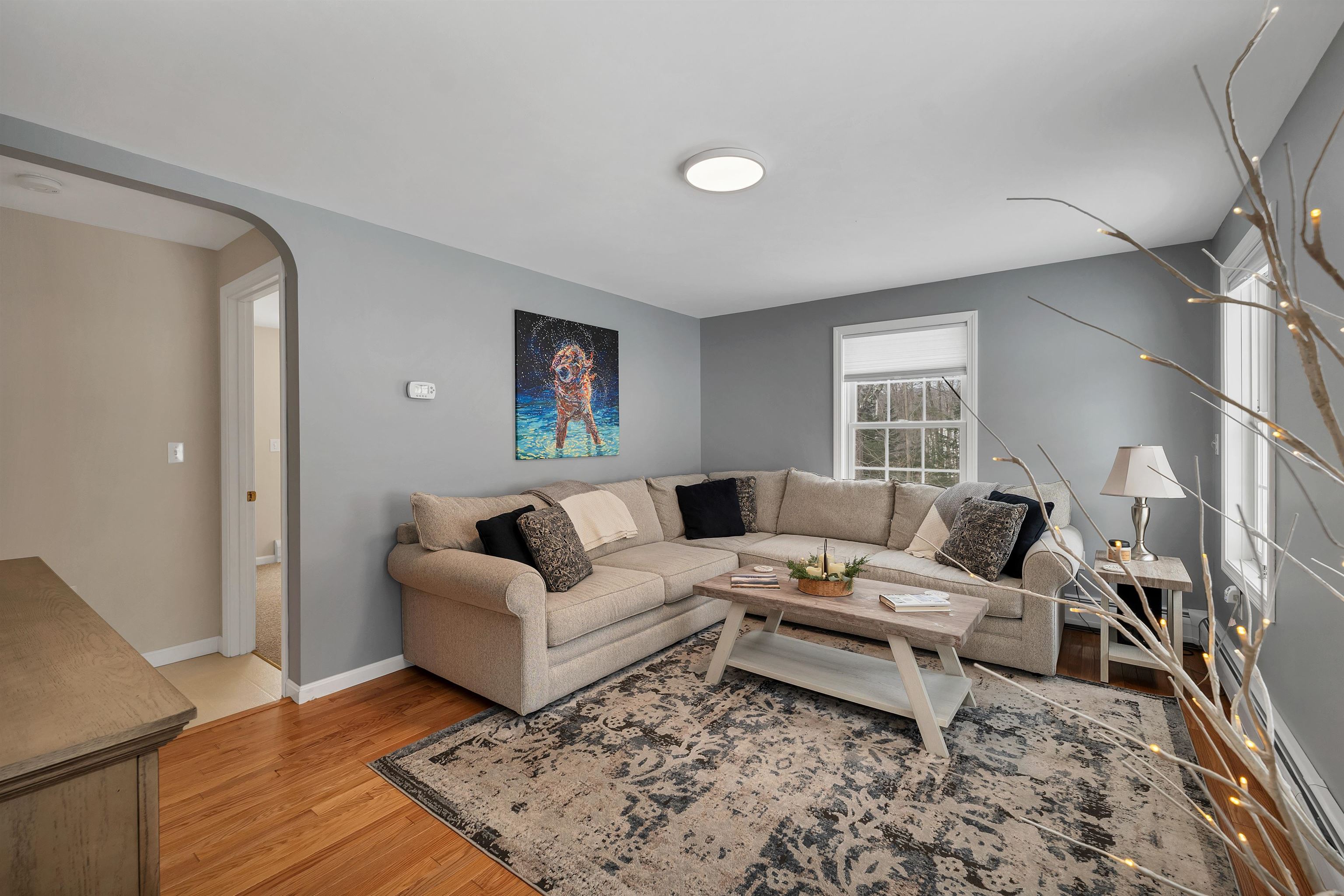 56 Frohock Brook Rd, Alton, NH 03810