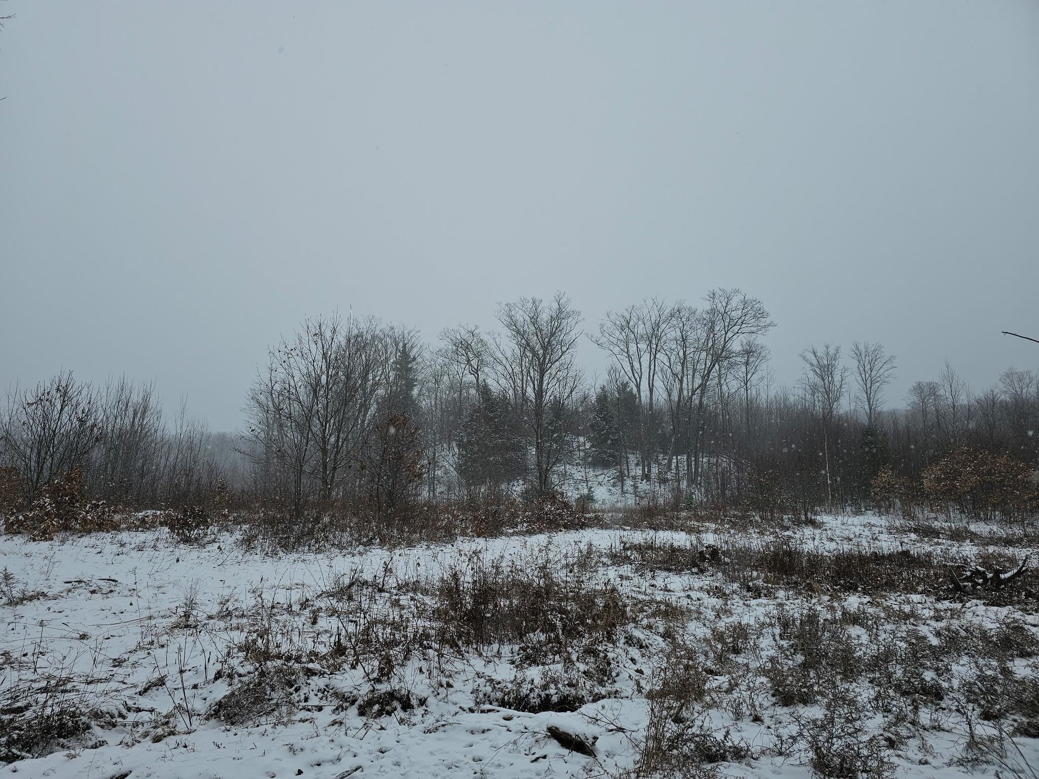 000 Black North Rd, Acworth, NH 03601