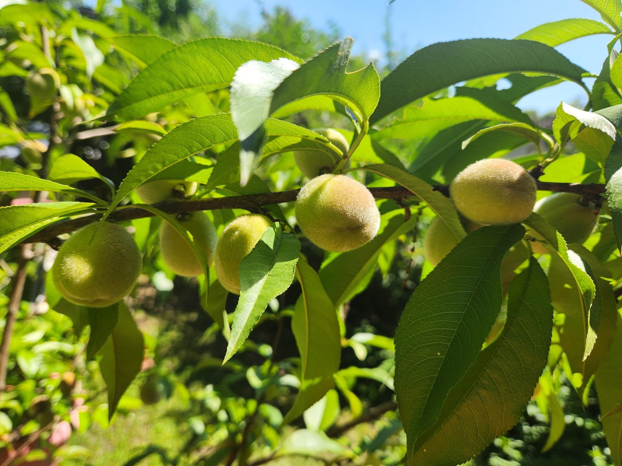 63 Evergreen Ln, Hopkinton, NH 03229