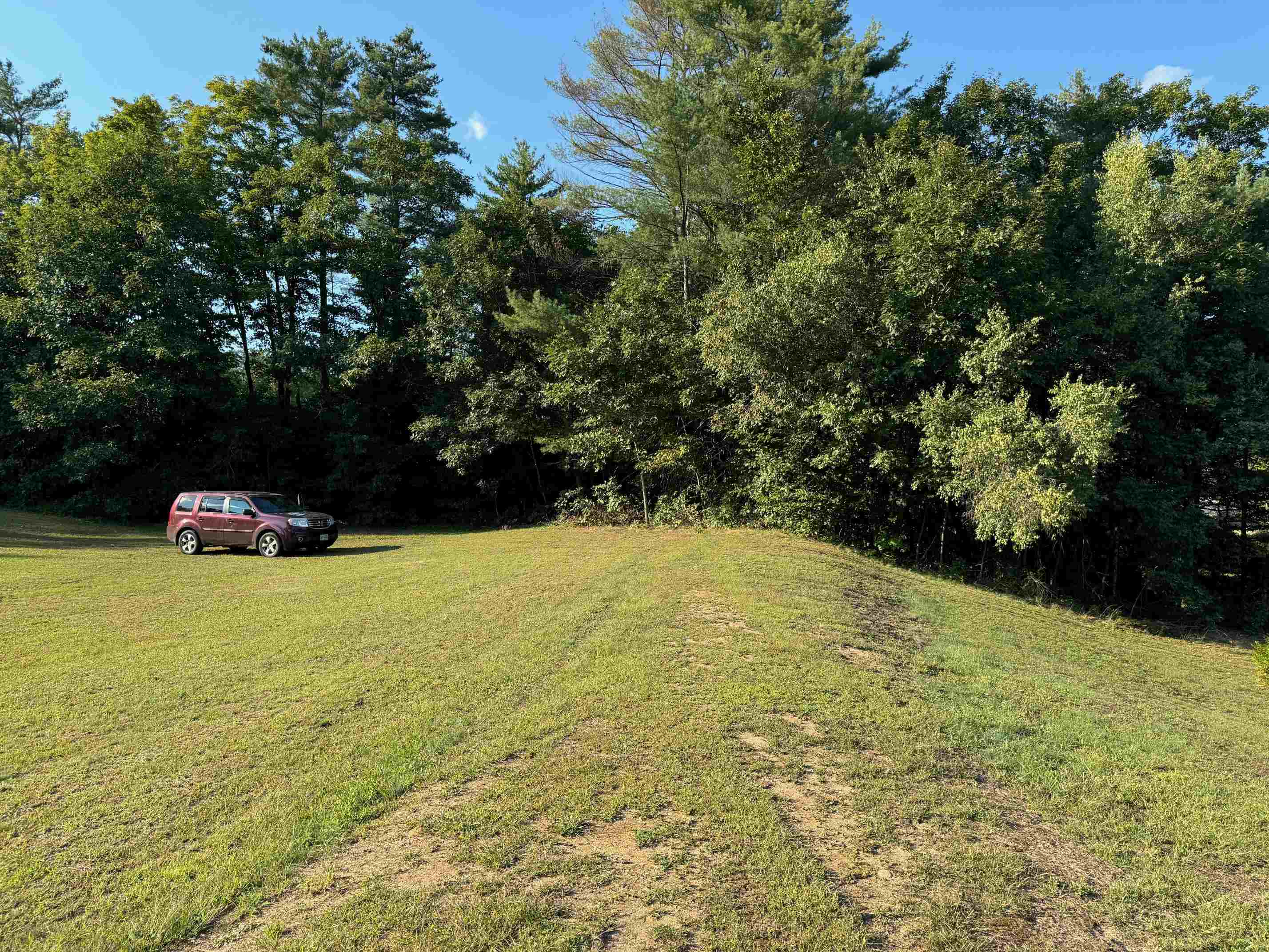 Seller cleared the lot with the intention of building. Things change!