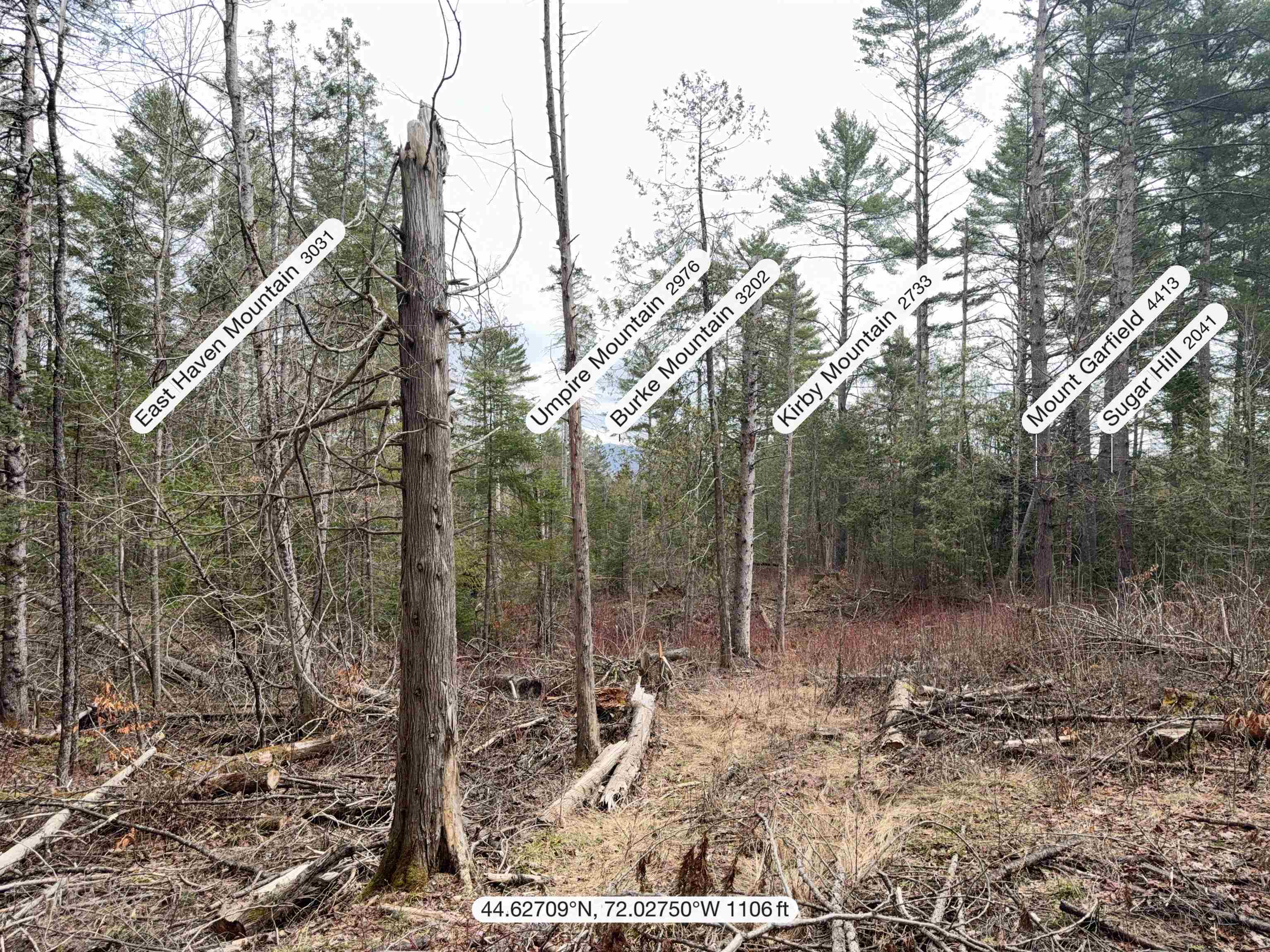 Sutton VT&nbsp;Land for sale $$84,900 | 17.6 Acres  | Price Per Acre $0 