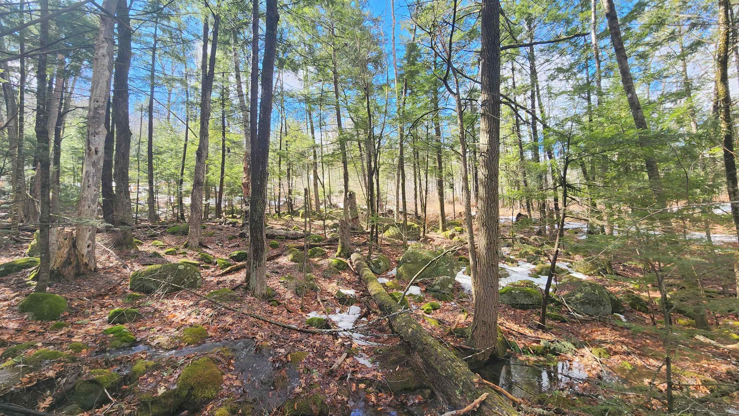 231 Valley Rd, New Durham, NH 03855