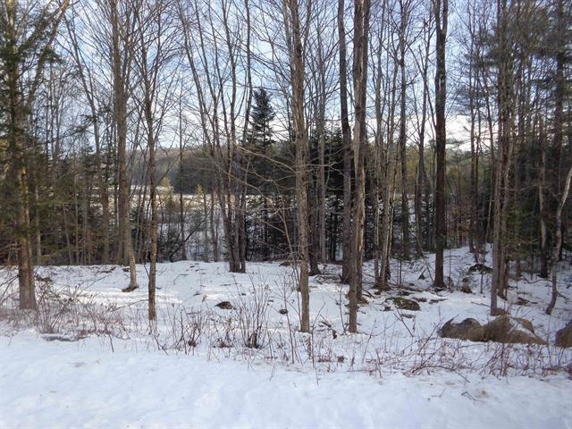 30 Phelps Ln, Danbury, NH 03230