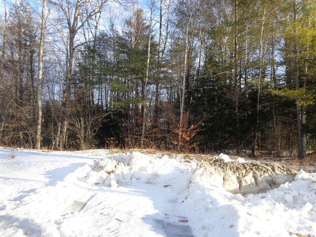 30 Phelps Ln, Danbury, NH 03230