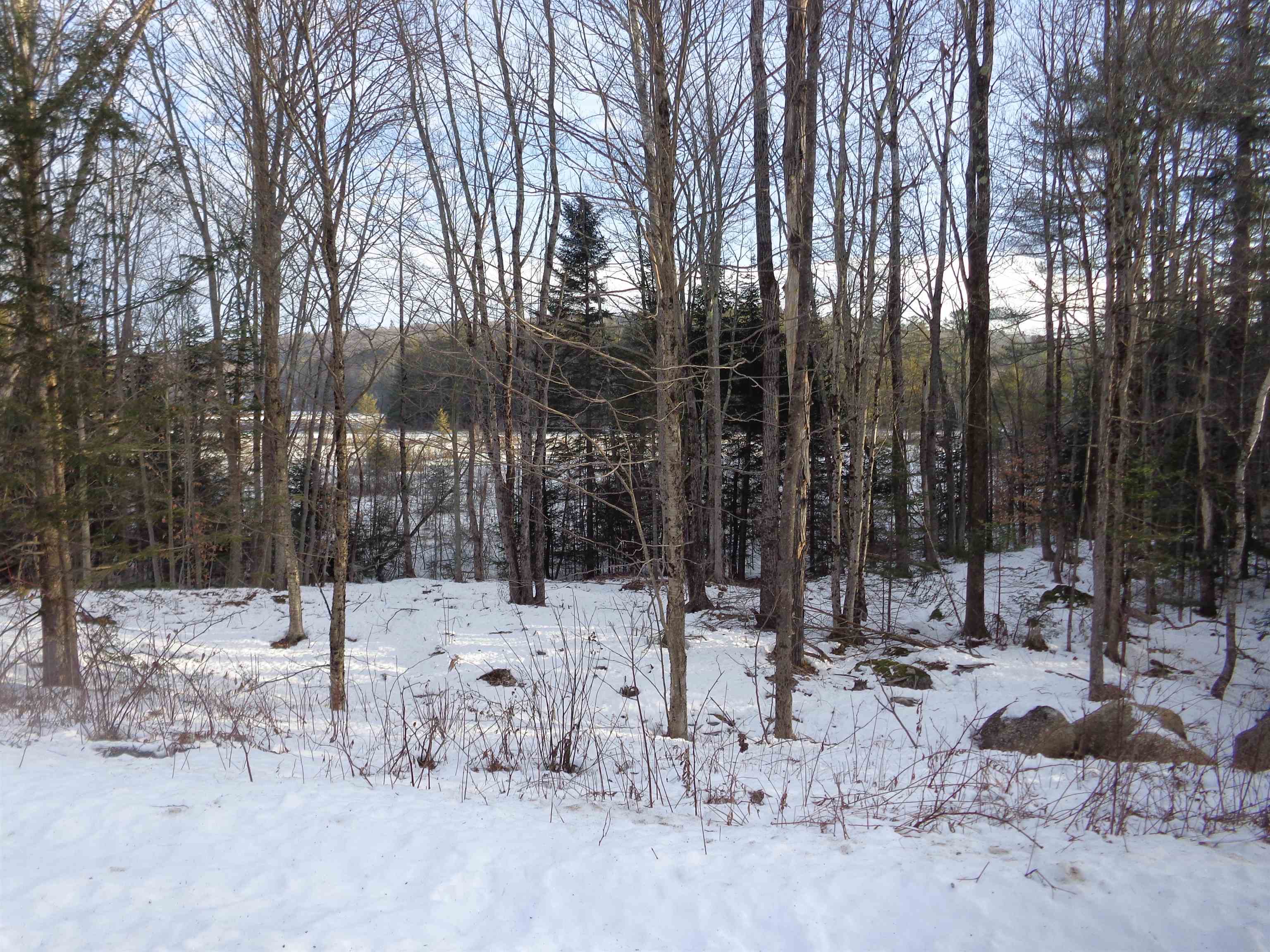 30 Phelps Ln, Danbury, NH 03230