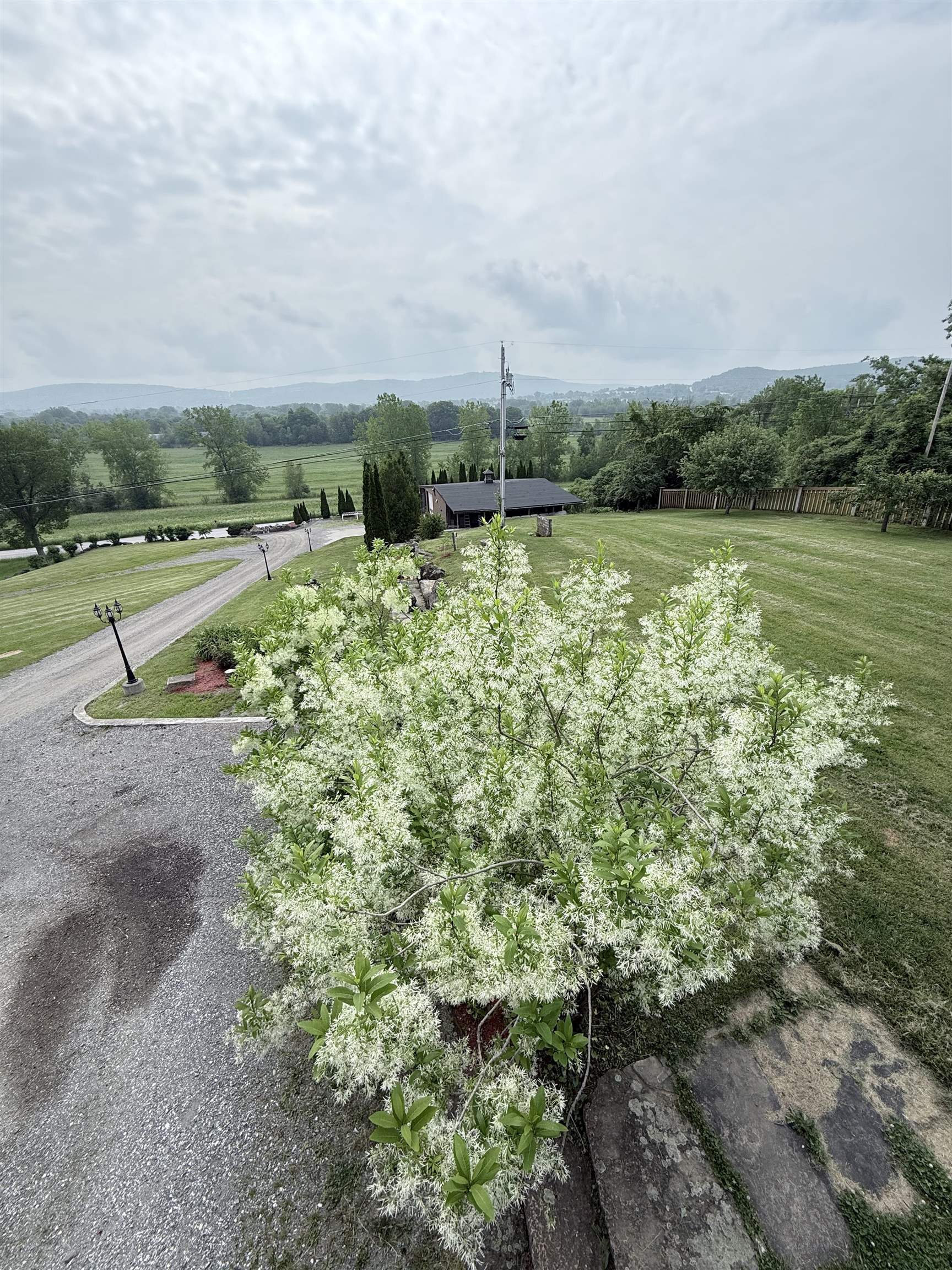 Property photo 56