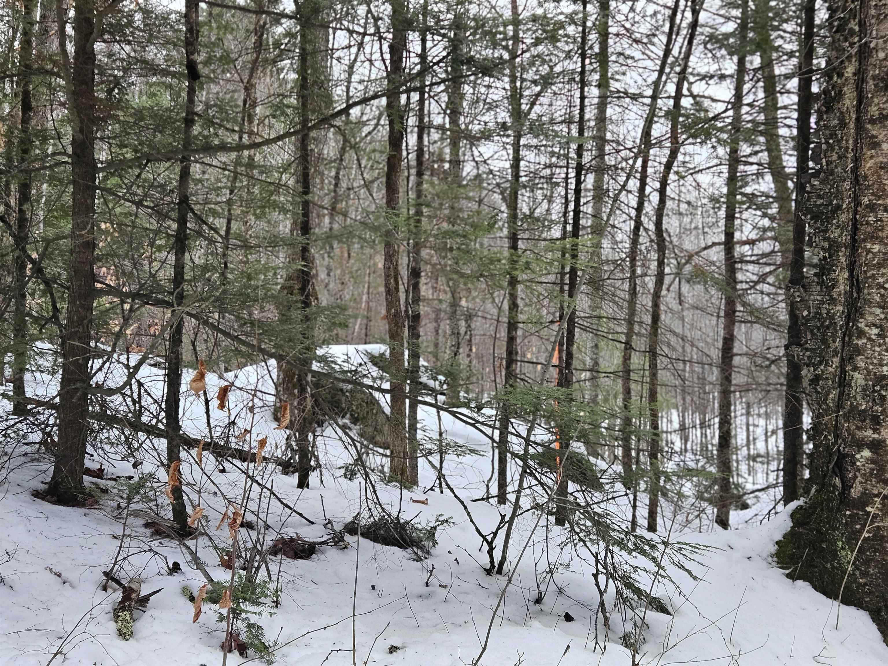 362 Rabbit Pa, Bath, NH 03740