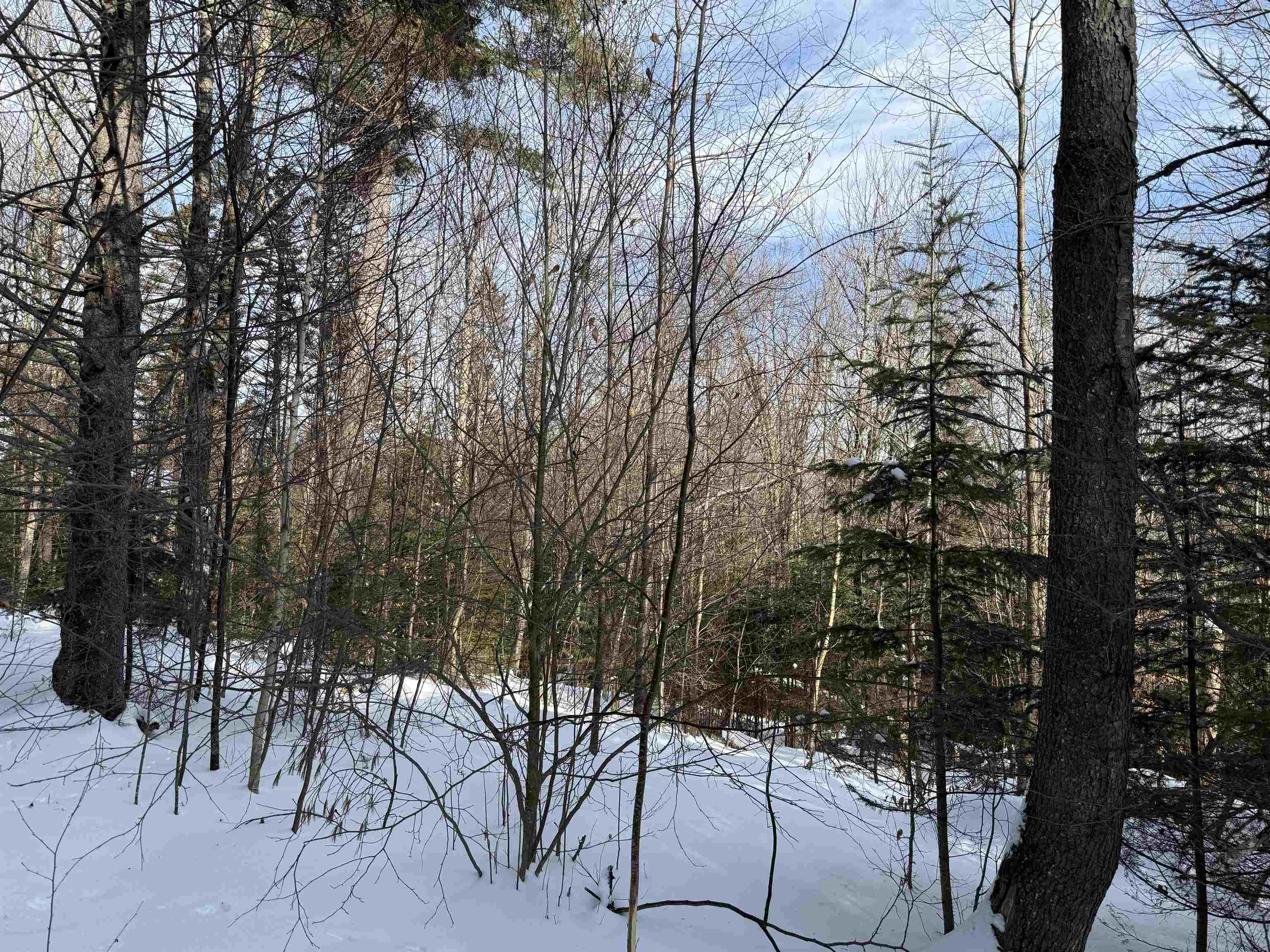 Property photo 19