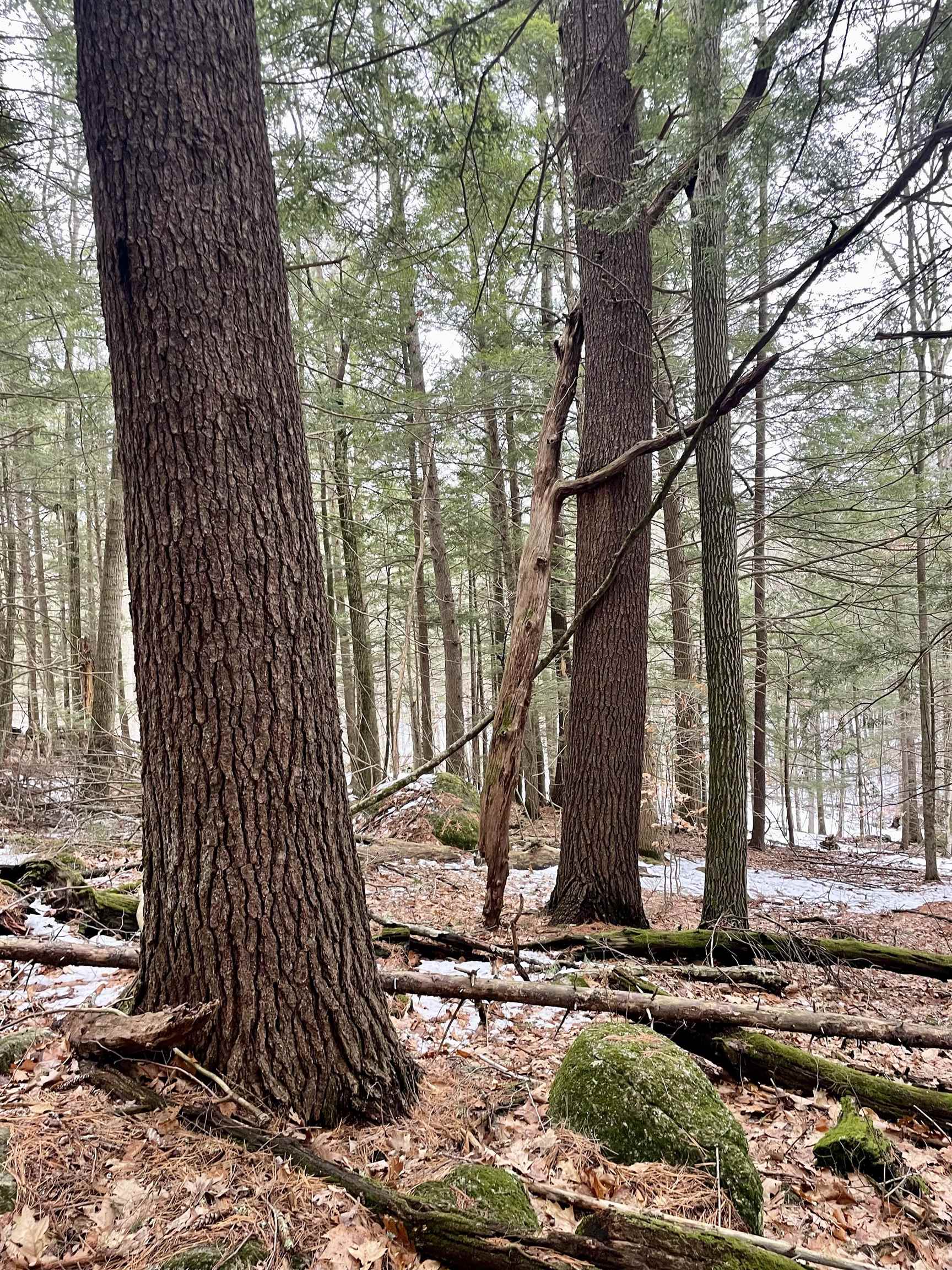 332 Gleason Falls Rd, Hillsborough, NH 03244