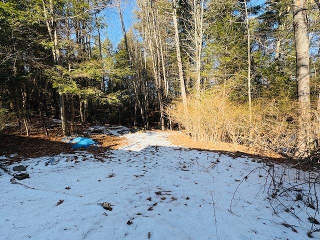 94 Harriman Hill Rd, Raymond, NH 03077