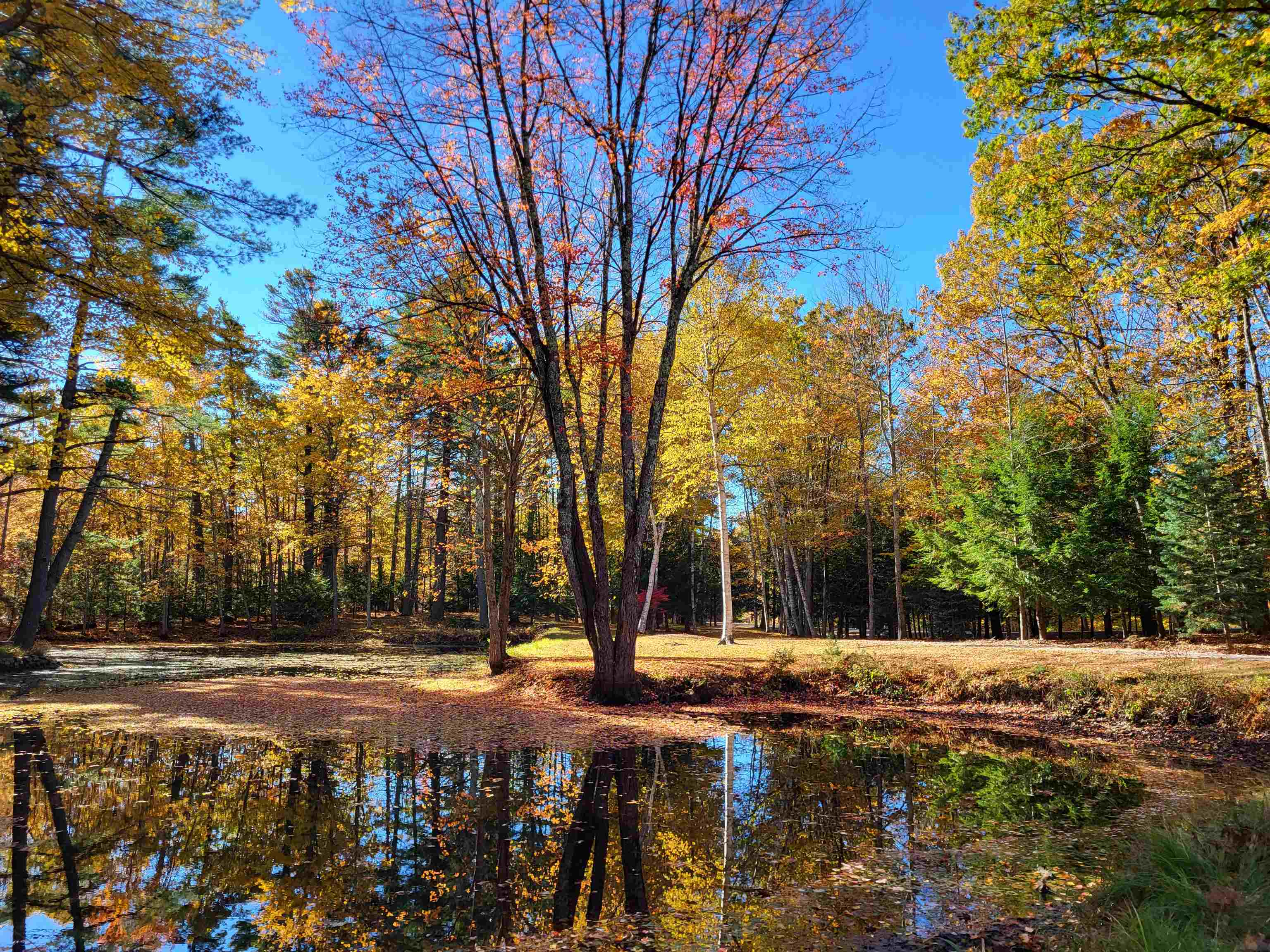 29 Kona Farm Rd, Moultonborough, NH 03254