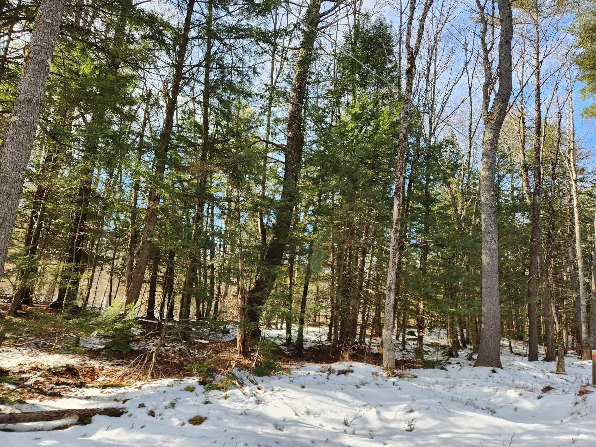 0 Munsey Rd, Gilmanton, NH 03237