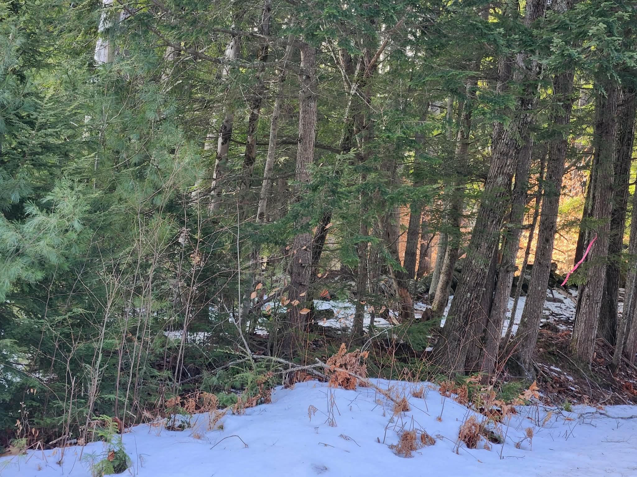 0 Munsey Rd, Gilmanton, NH 03237