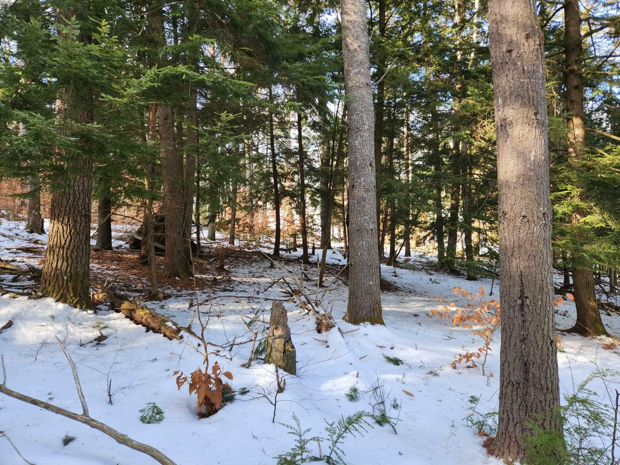 1 Munsey Hill Rd, Gilmanton, NH 03237