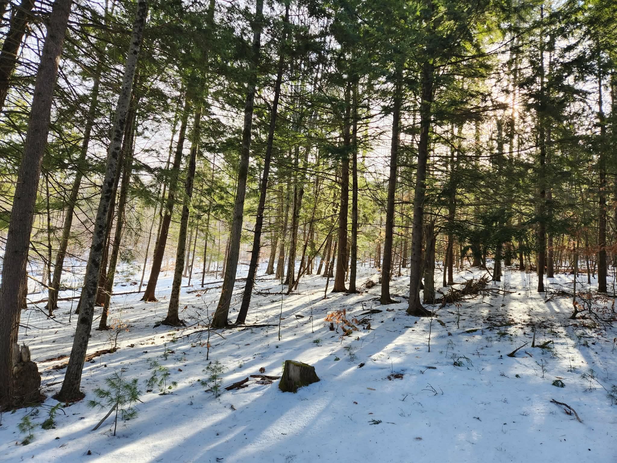 1 Munsey Hill Rd, Gilmanton, NH 03237