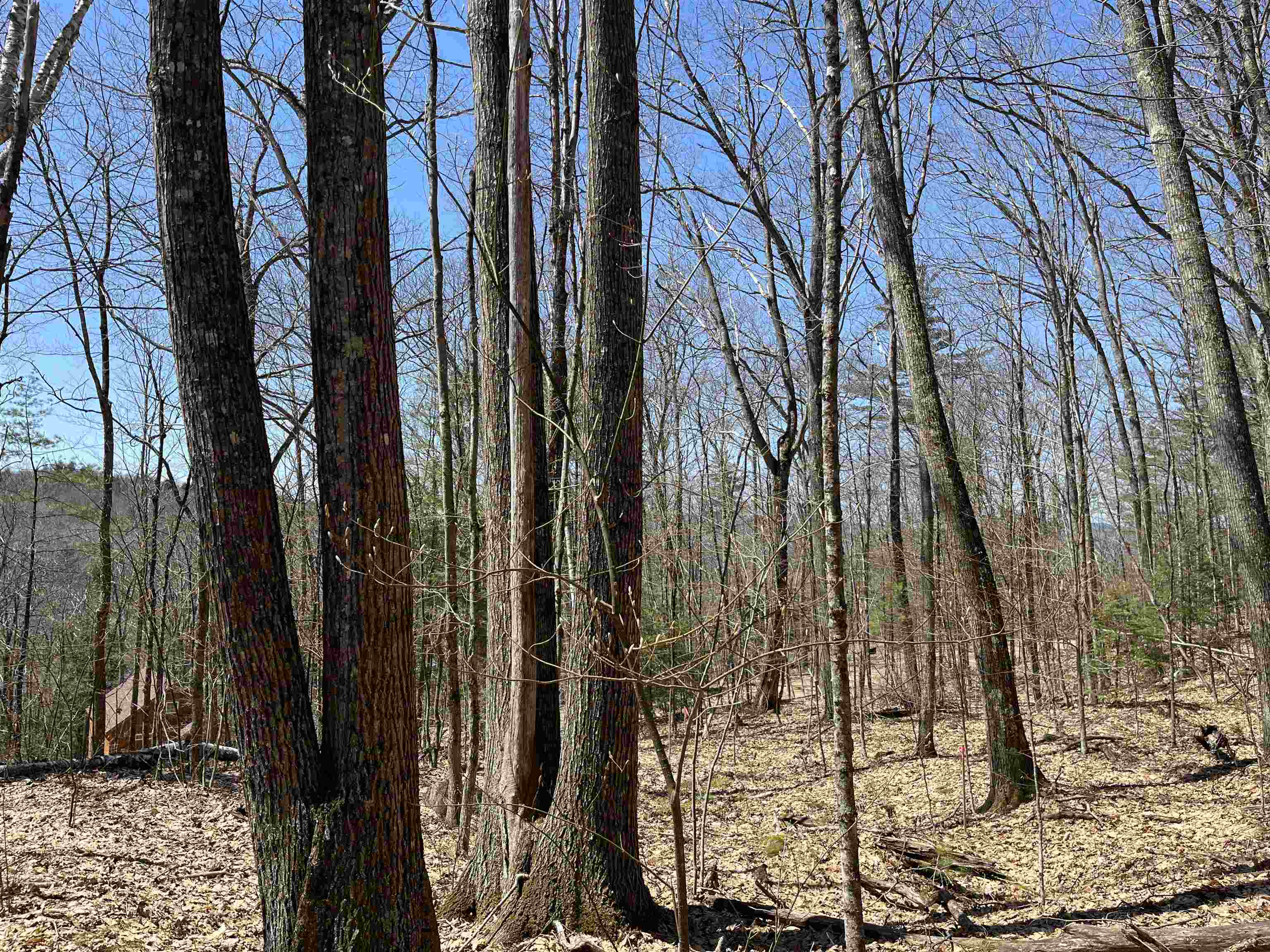 H16 Tobey Rd, Campton, NH 03223