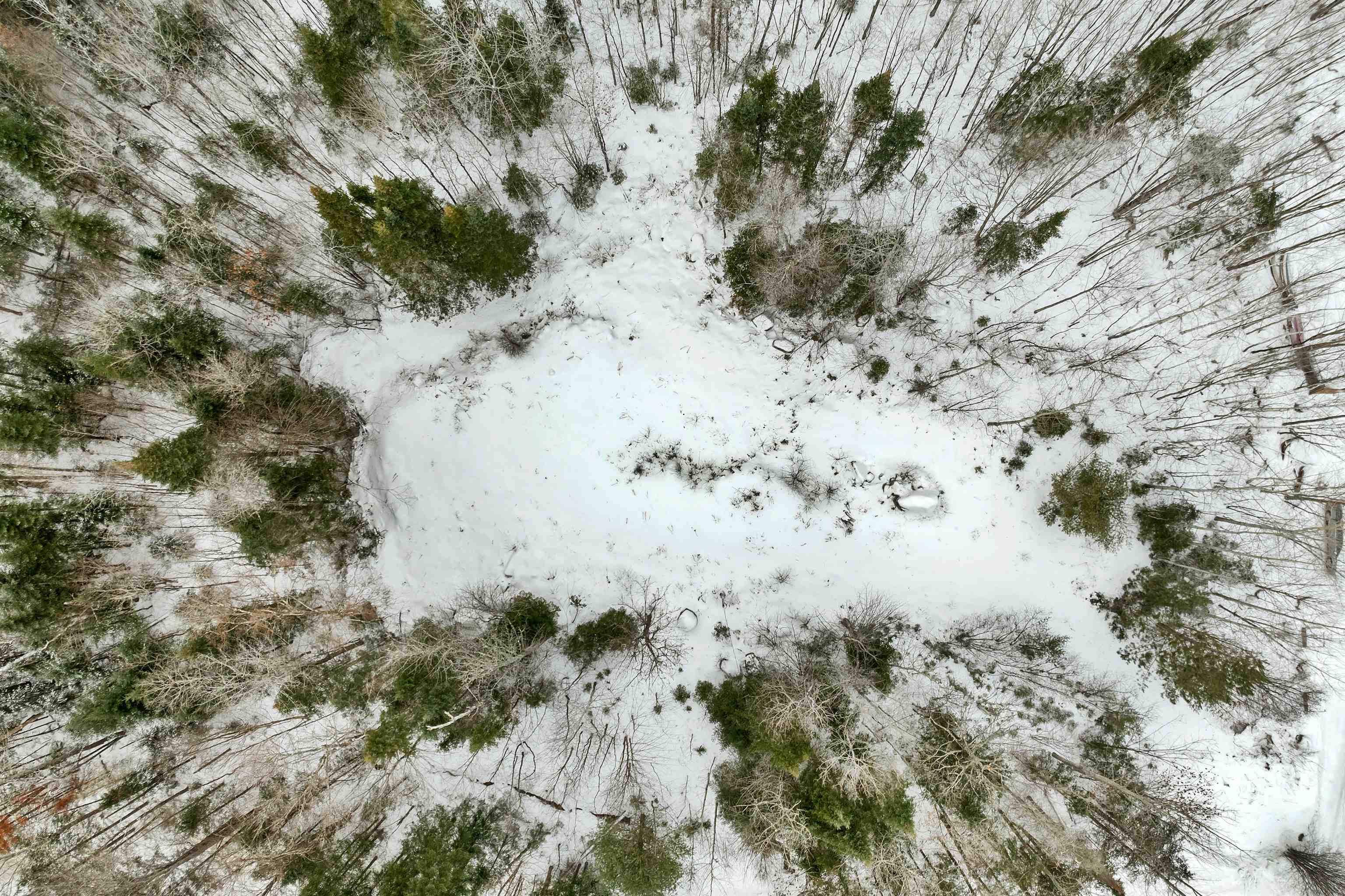 507 West Side Rd, Whitefield, NH 03574