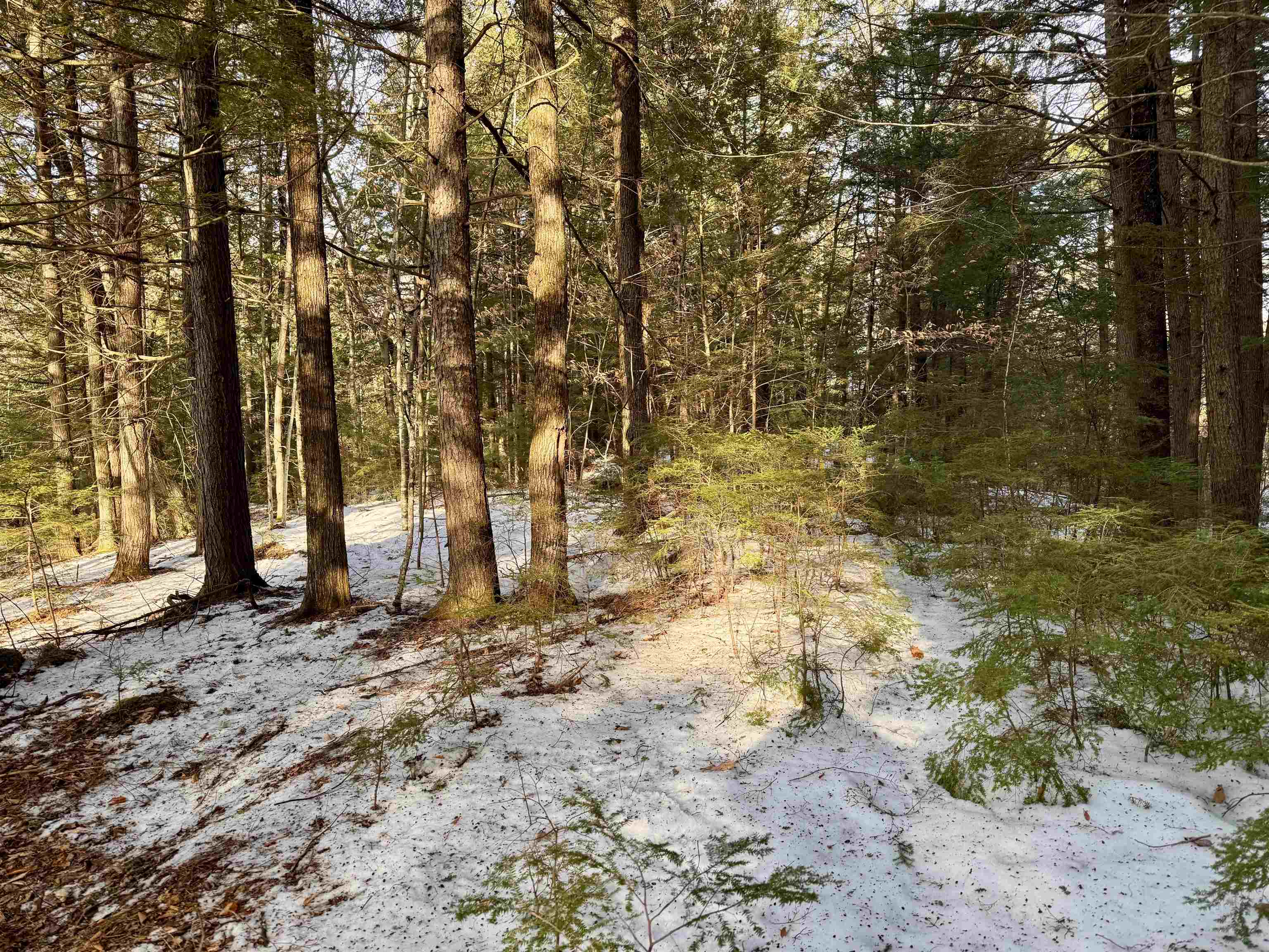 0 Map 9 Lot 87 Mary Rowe Dr, Hillsborough, NH 03244
