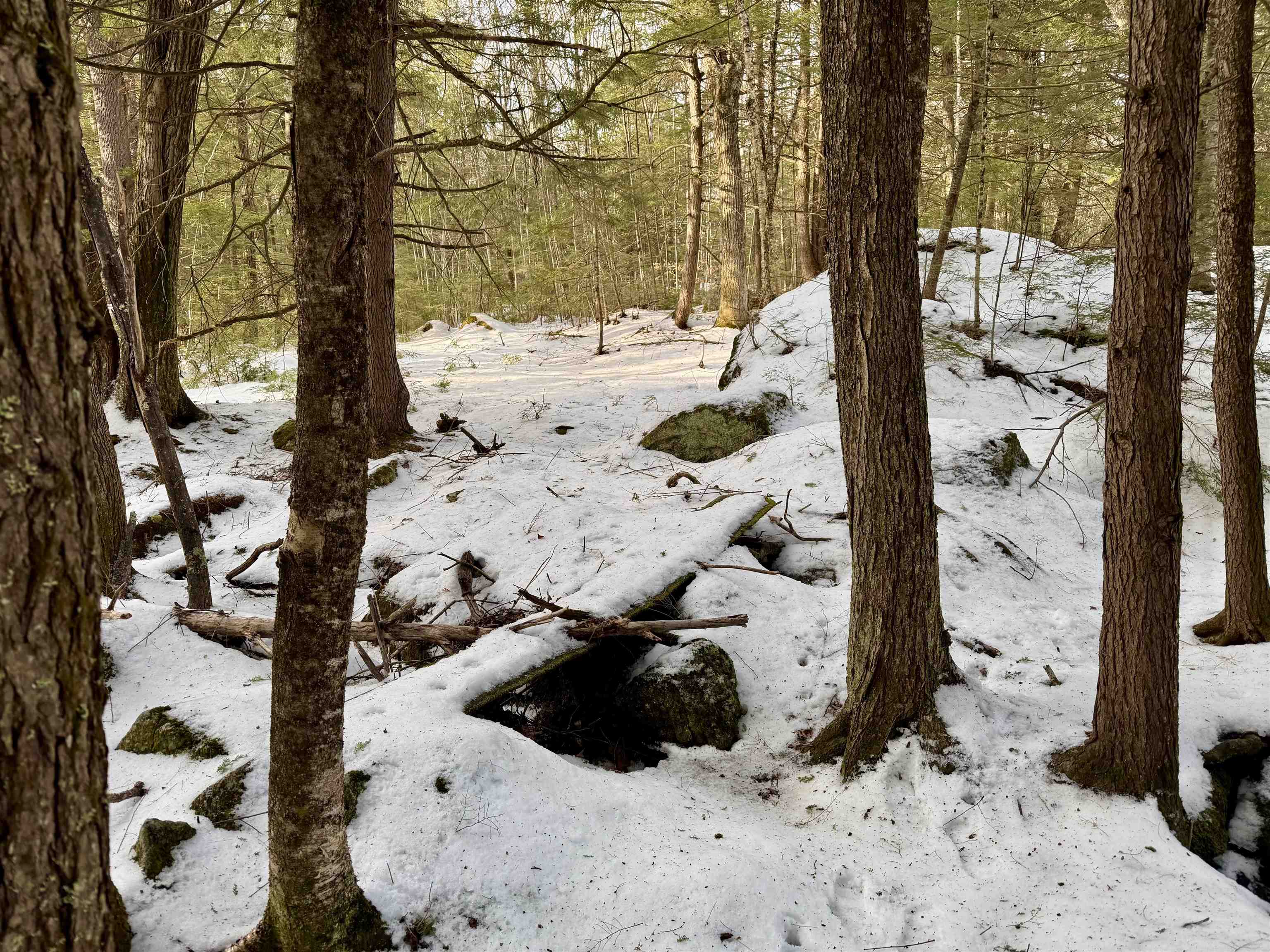 0 Map 9 Lot 87 Mary Rowe Dr, Hillsborough, NH 03244