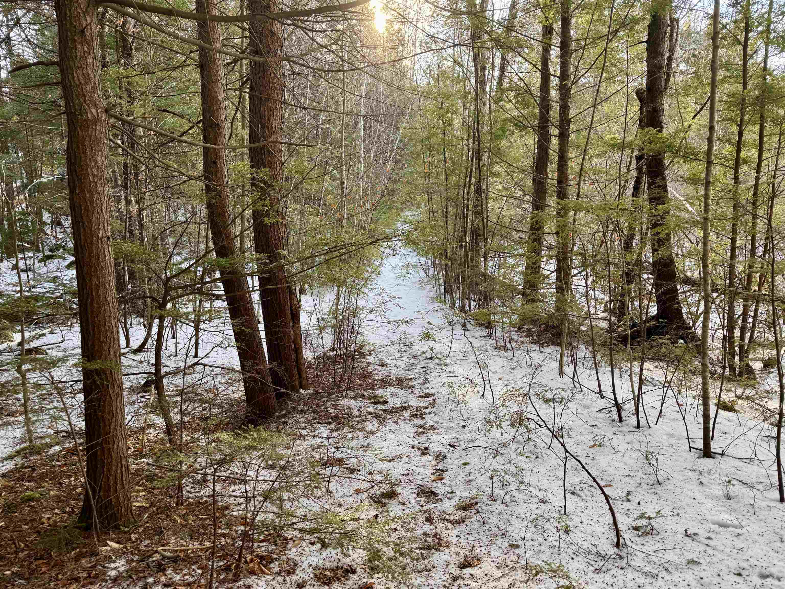 0 Map 9 Lot 87 Mary Rowe Dr, Hillsborough, NH 03244