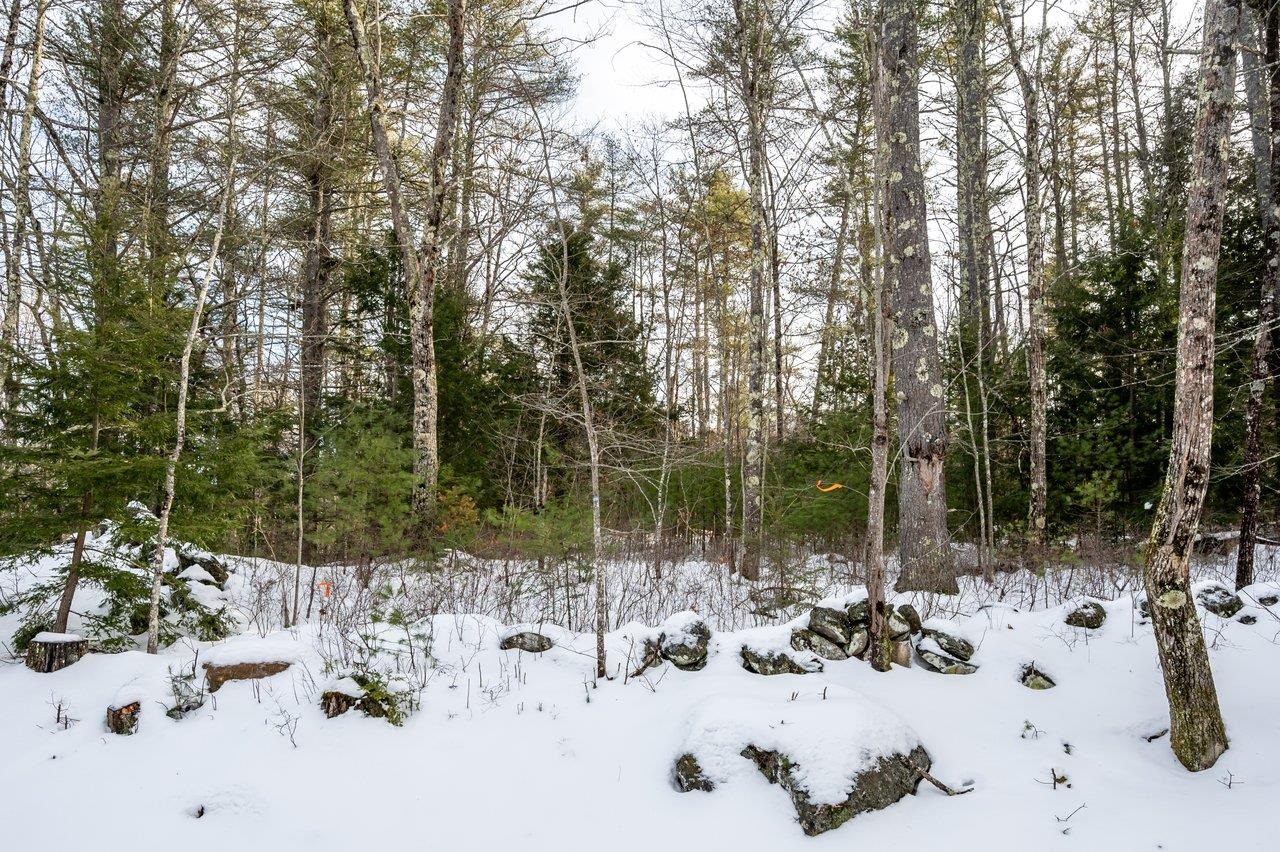 M 219 L 43-1 Greenhill Rd, Barrington, NH 03825