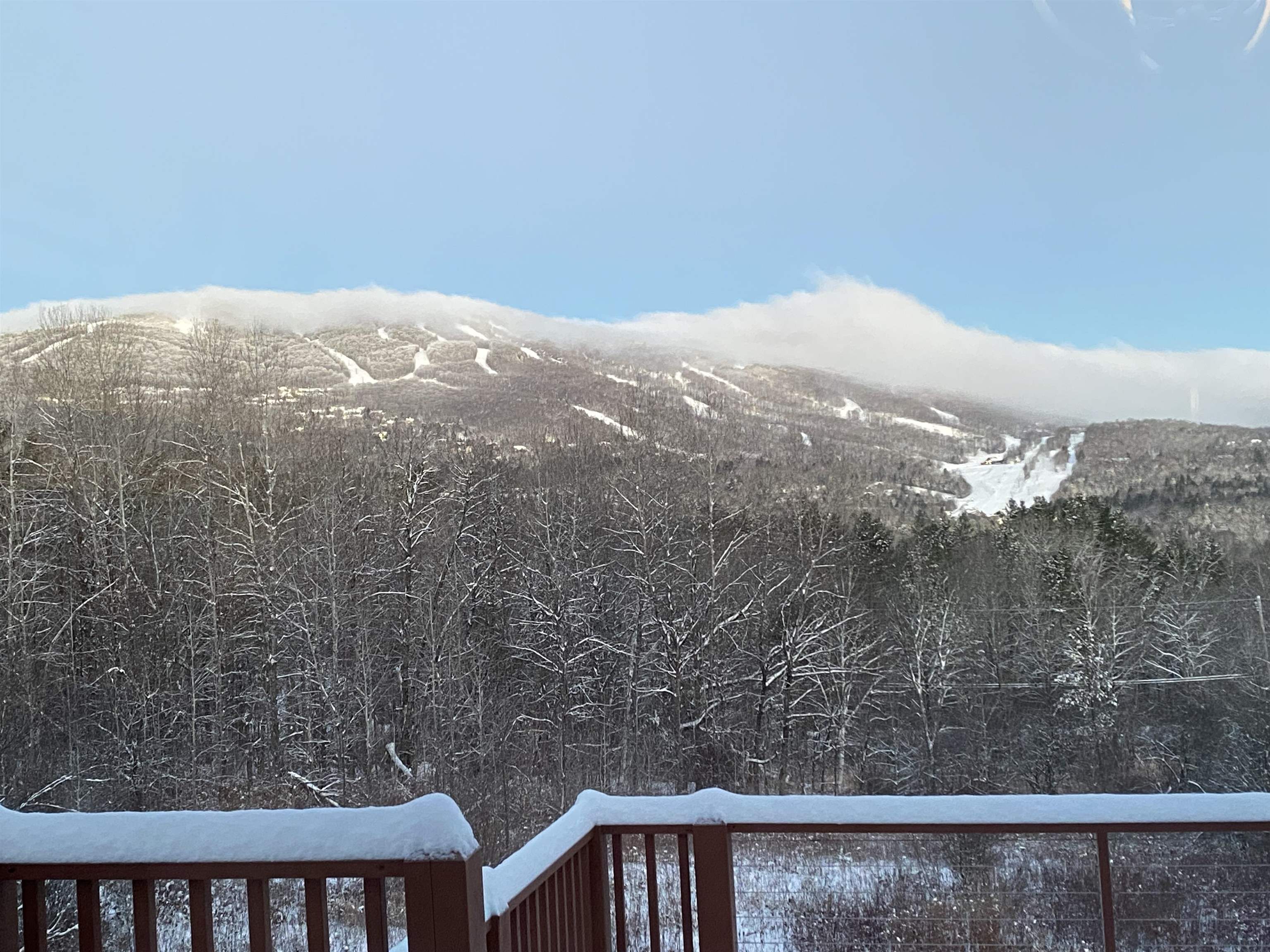 Year round views 24605329