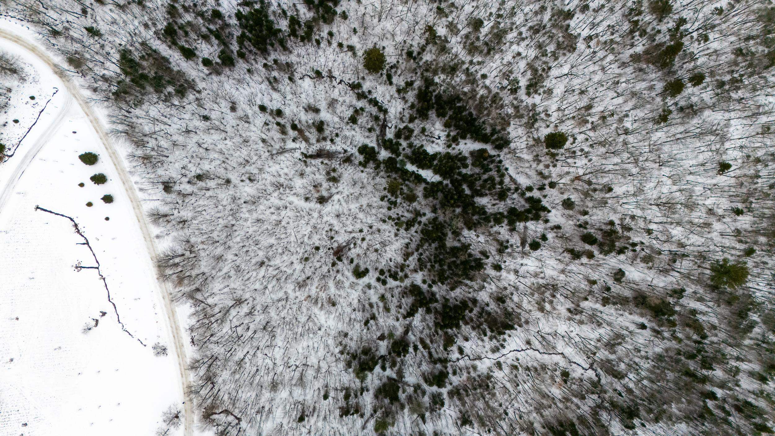 TBD Nature Dr, Franconia, NH 03580