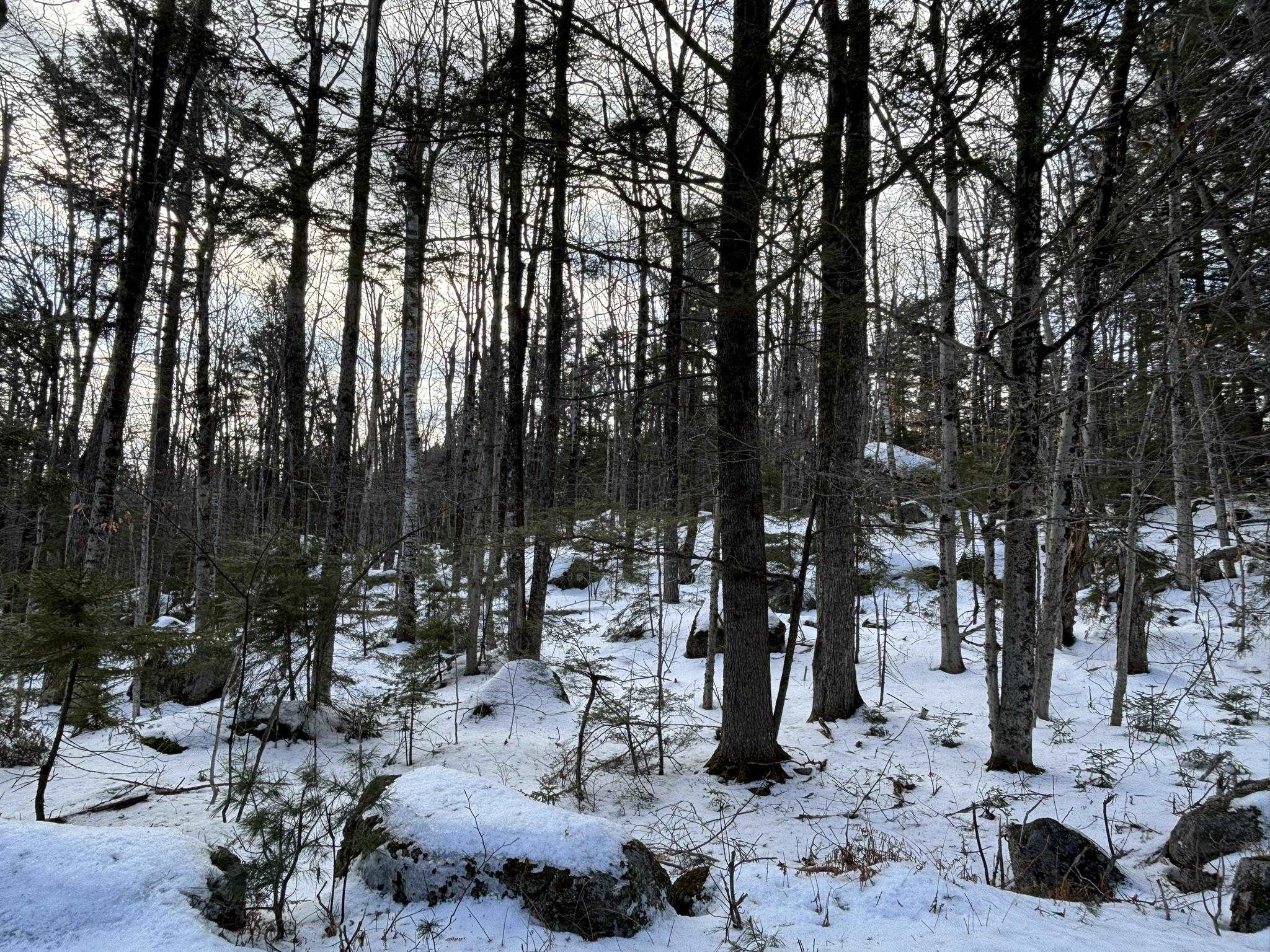 000 East Washington Rd, Washington, NH 03280