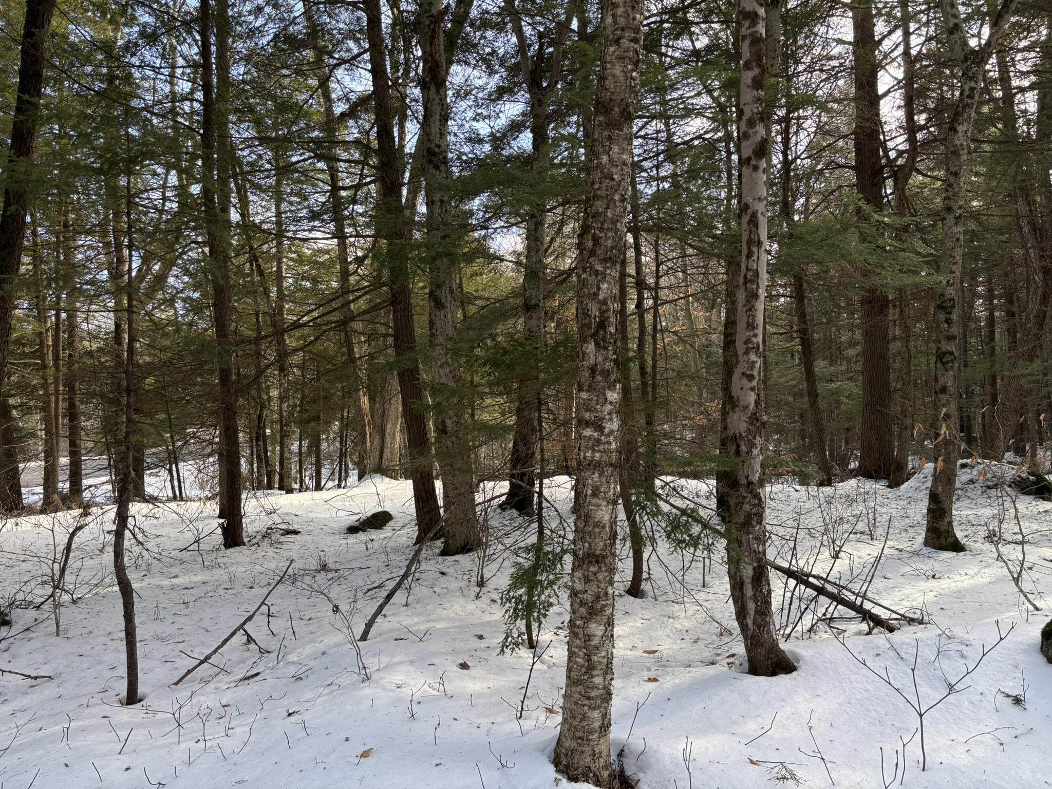 000 East Washington Rd, Washington, NH 03280