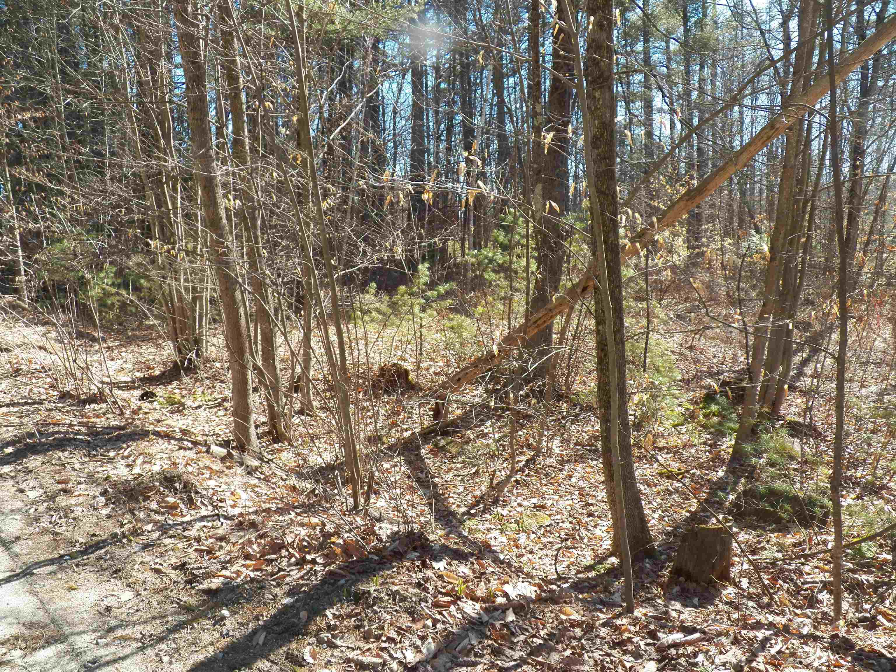 15 Sunrise Pl, Hillsborough, NH 03244