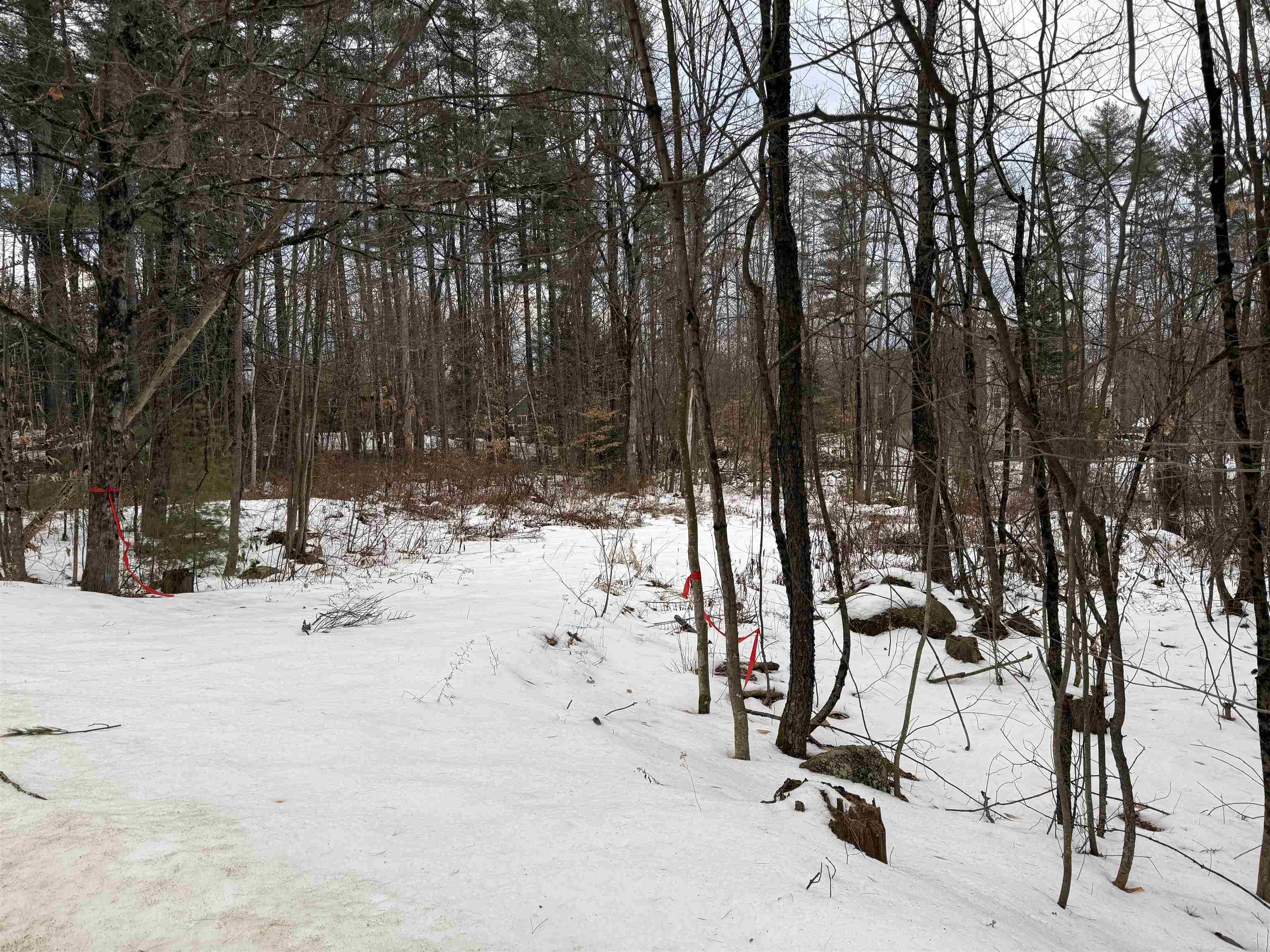 15 Sunrise Pl, Hillsborough, NH 03244