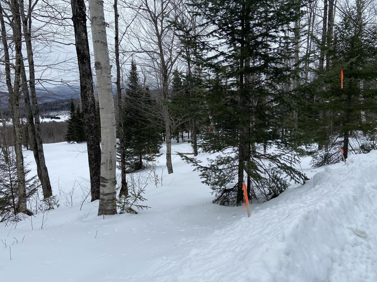 48 Alberts Ln, Warren, VT 05674