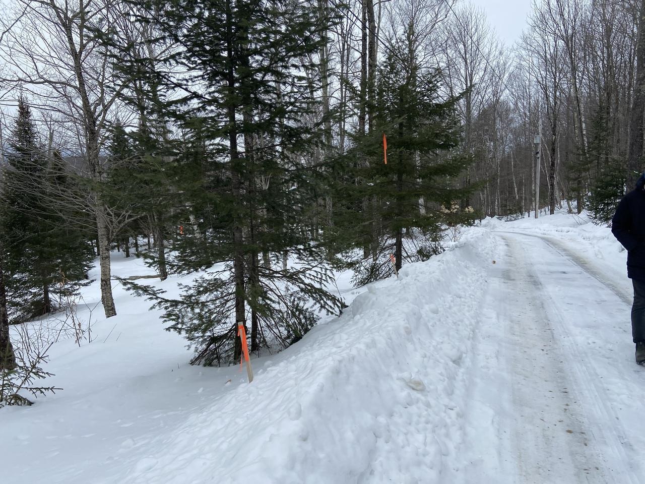 48 Alberts Ln, Warren, VT 05674