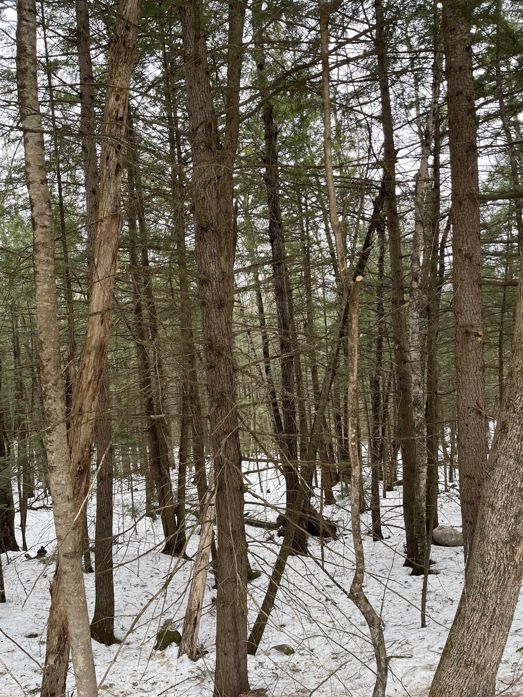 0  , Campton, NH 03223