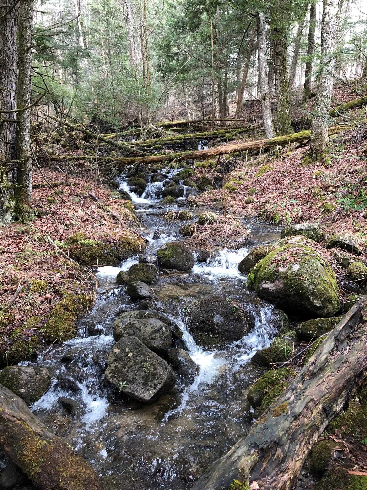 1090 Center Rd, Albany, VT 05845