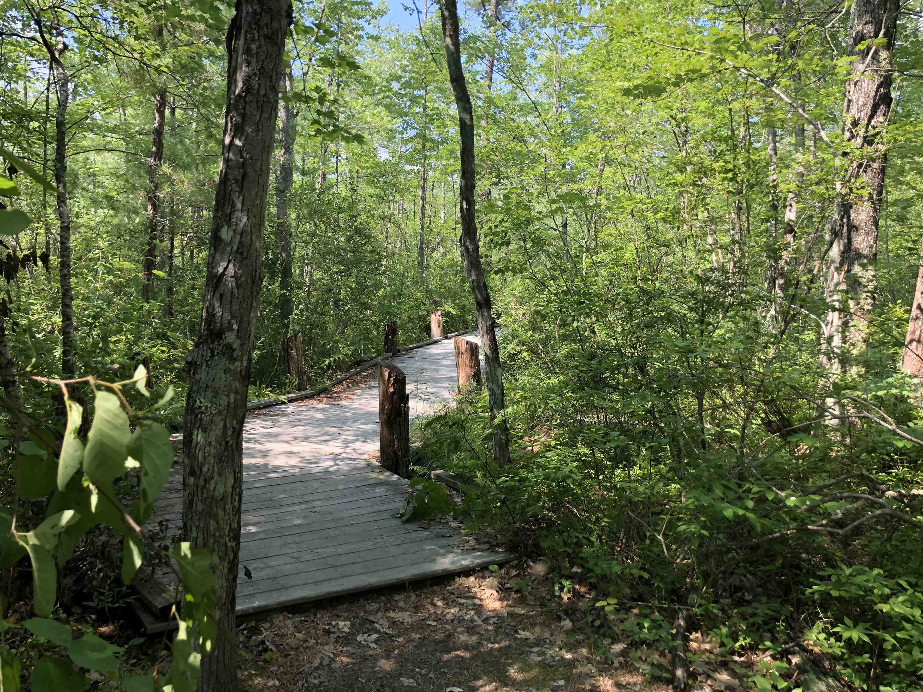 16 Hodsdon Shore Rd, Ossipee, NH 03814