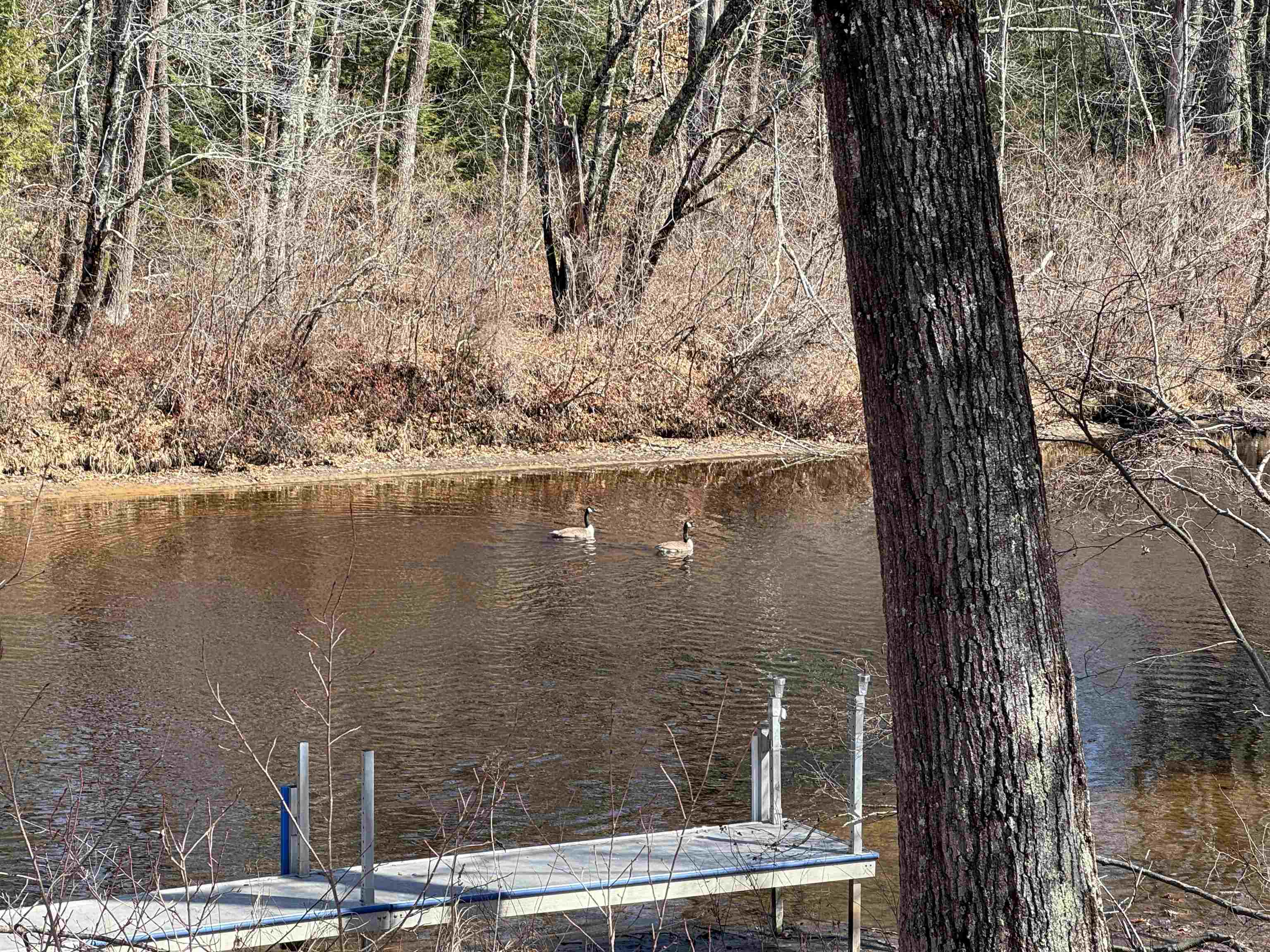 16 Hodsdon Shore Rd, Ossipee, NH 03814