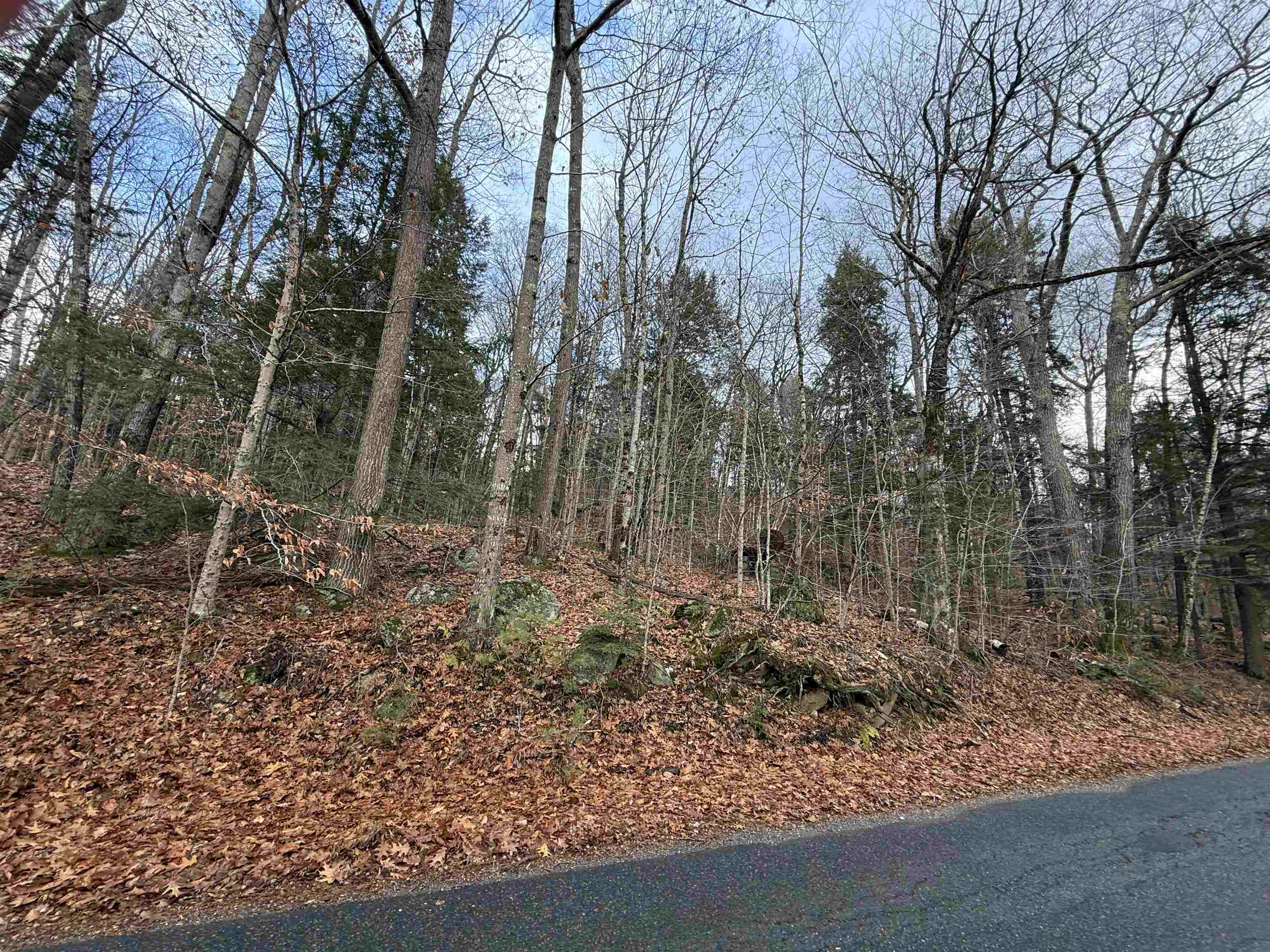 3.88 ac+/- Separate Parcel