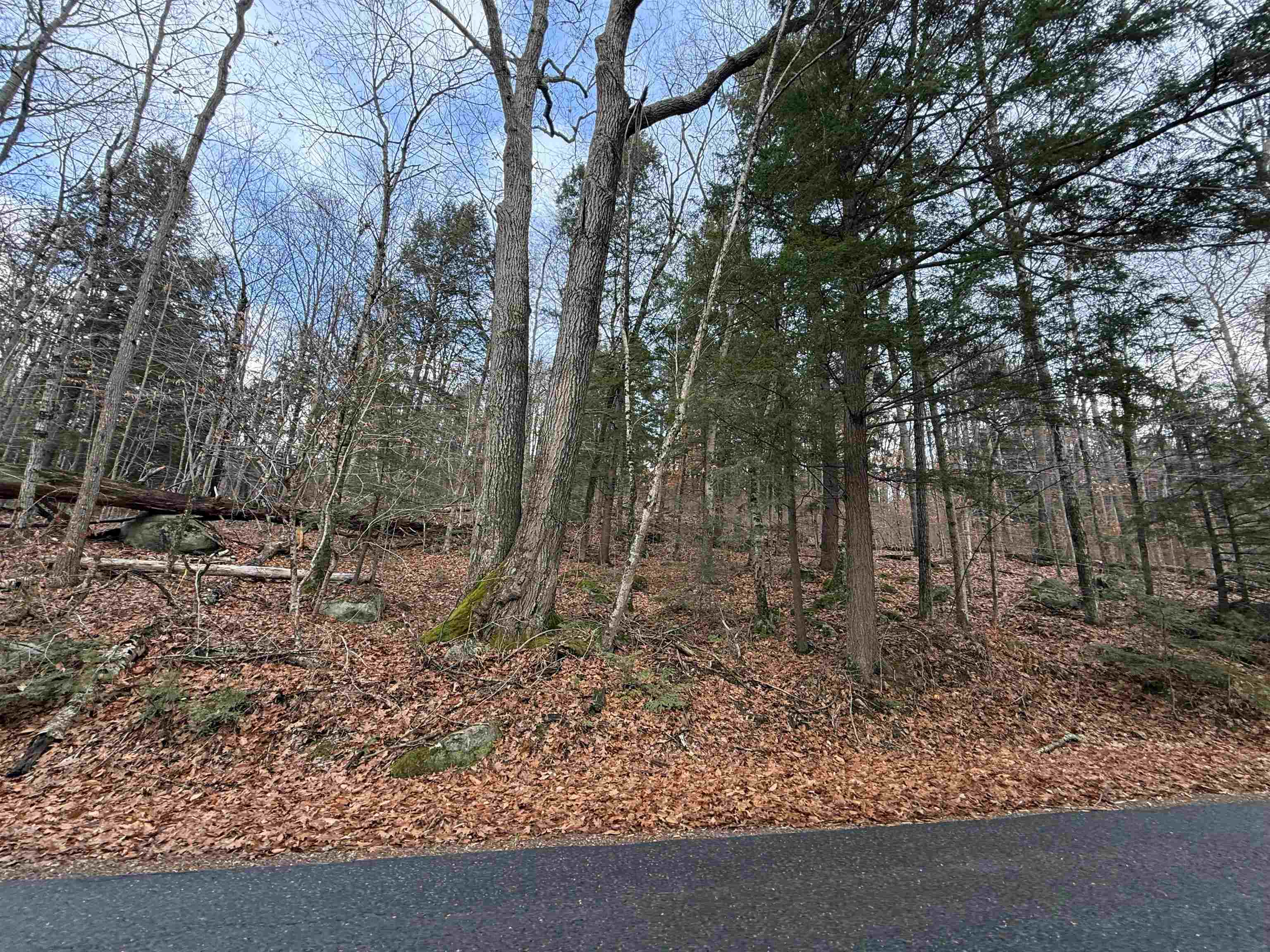 3.88 ac+/- Across Road Included