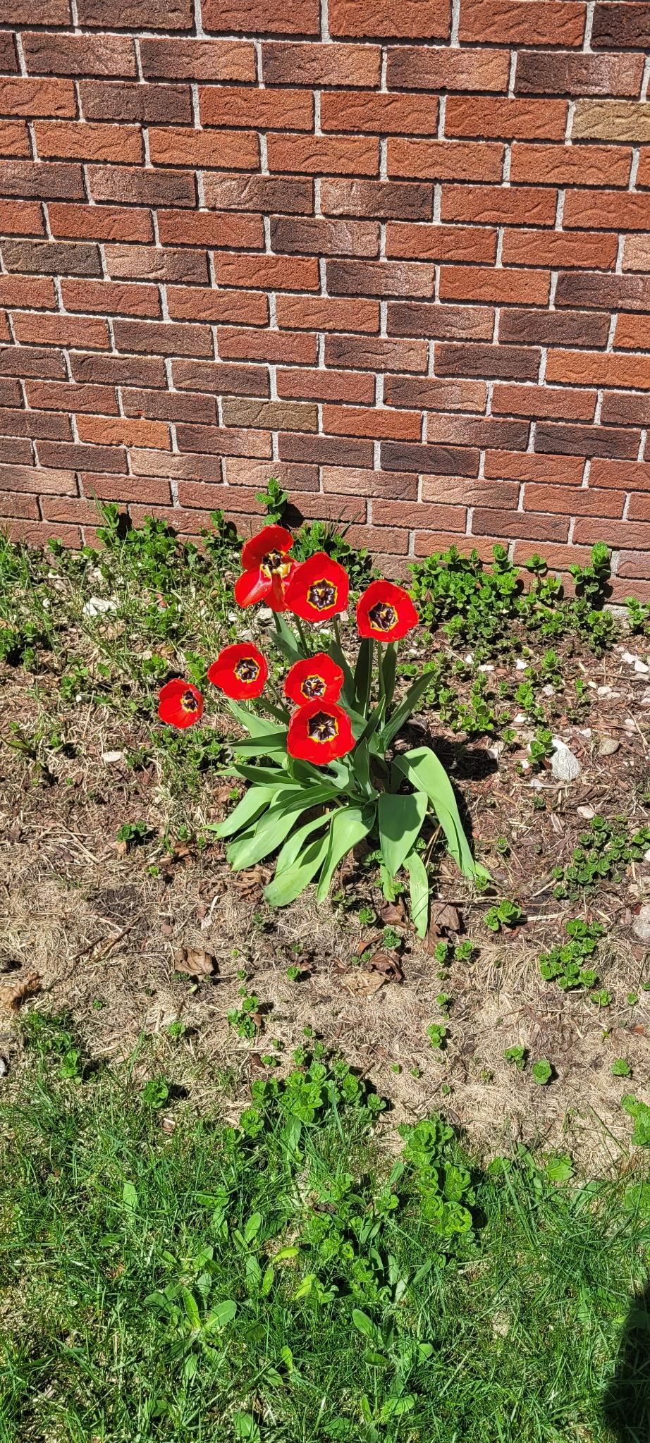 Homes for sale in Berlin, NH | 23 Countryside Ave, Berlin, NH 03570 | MLS# 5074303