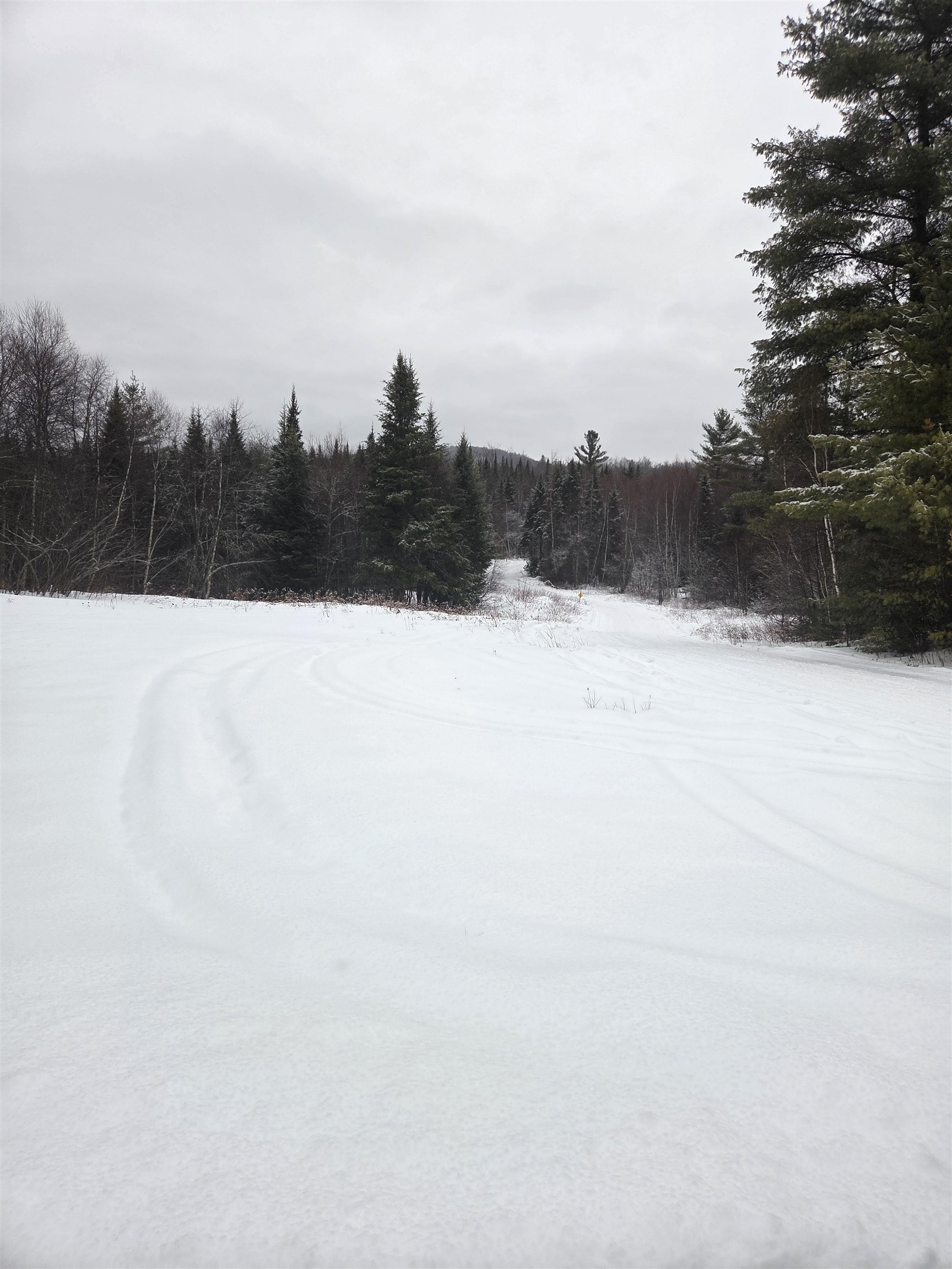 0 Bell Hill Rd, Stark, NH 03582