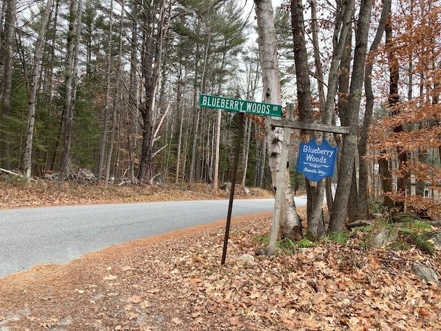 0 Blueberry Woods Dr, Canaan, NH 03741