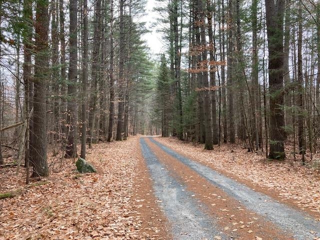 0 Blueberry Woods Dr, Canaan, NH 03741