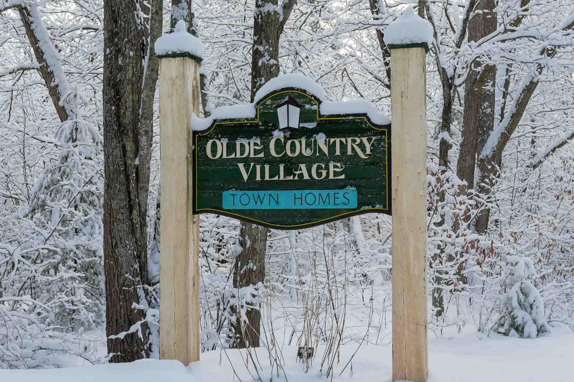 22 Olde Country Village Rd, Londonderry, NH 03053