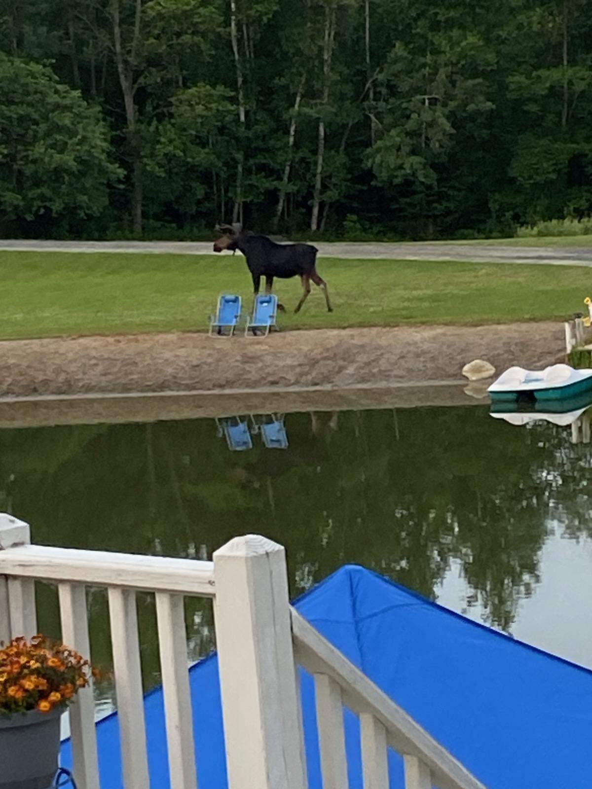 98 Rowell Rd, Lancaster, NH 03584