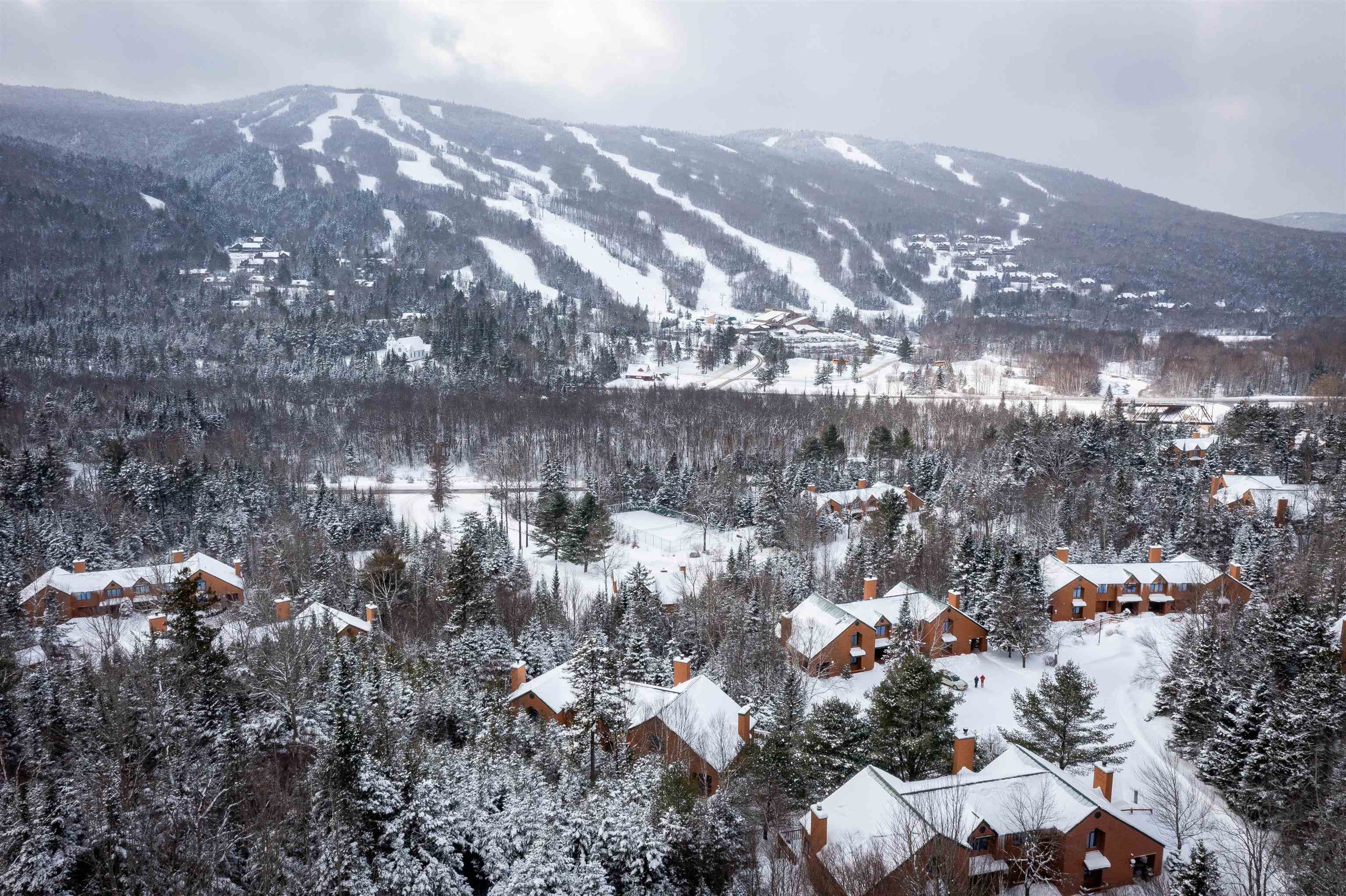 Homes for sale in Carroll, NH | 72 Appleby Close Rd #41, Carroll, NH 03575 | MLS# 5074529