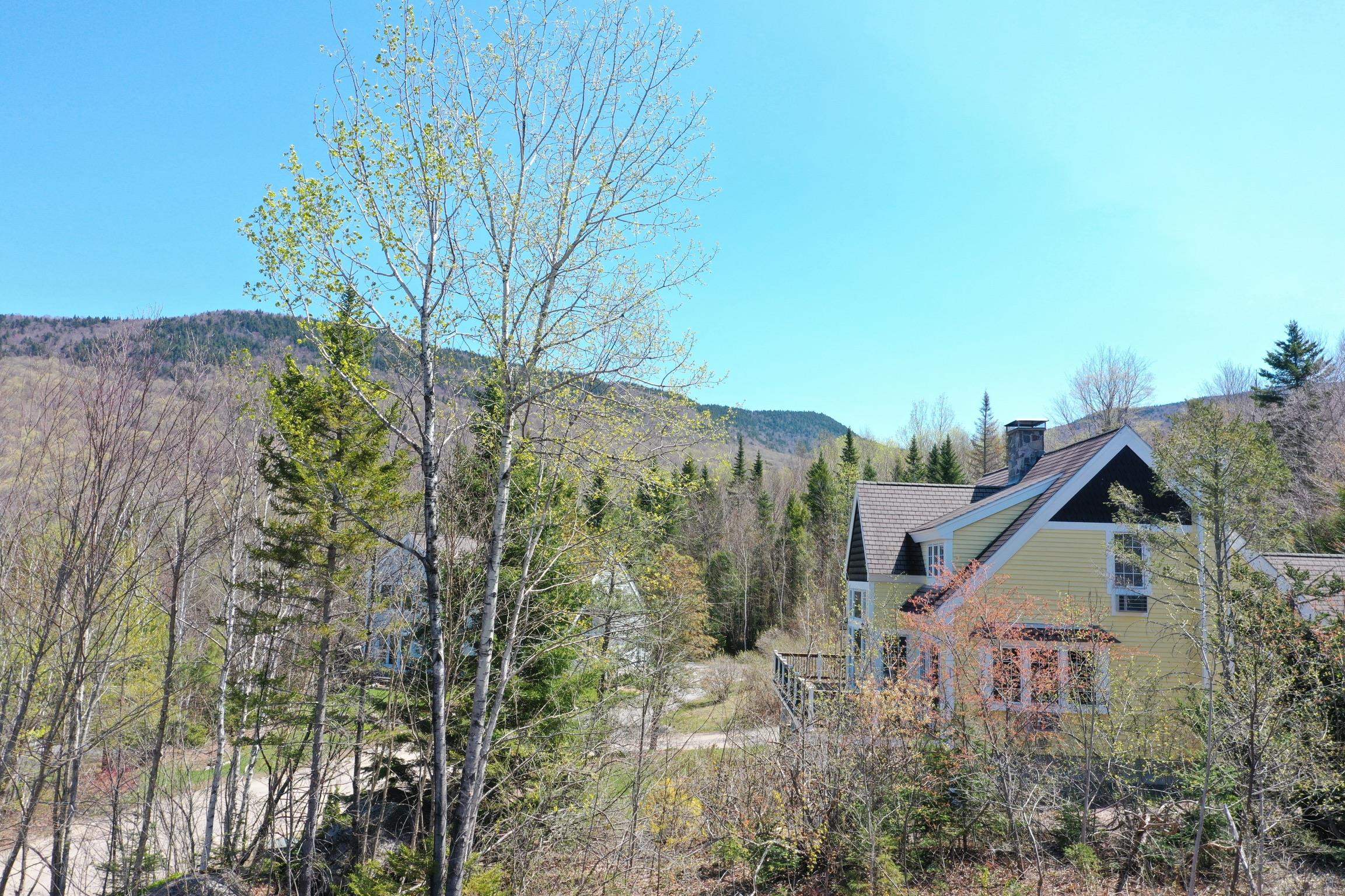24-23 Bear Brook Ln, Waterville Valley, NH 03215