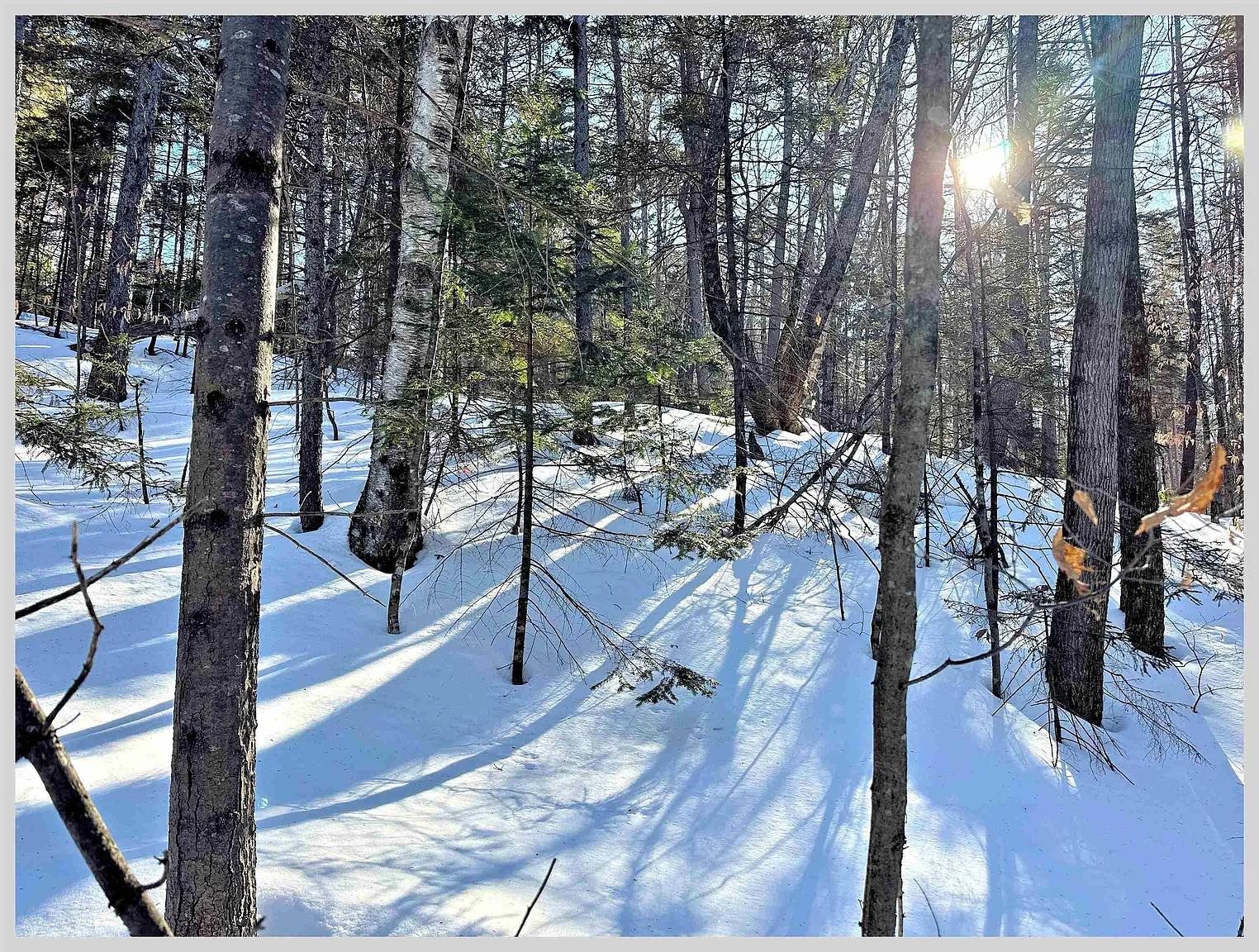 10 Issax Fox Rd, Campton, NH 03223